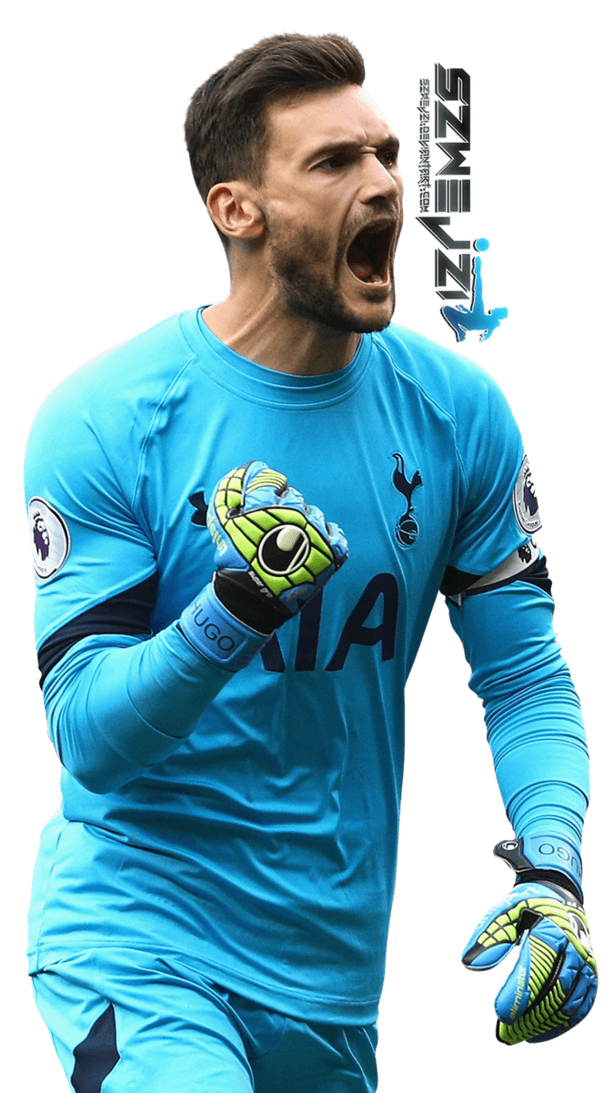 Hugo Lloris by szwejzi