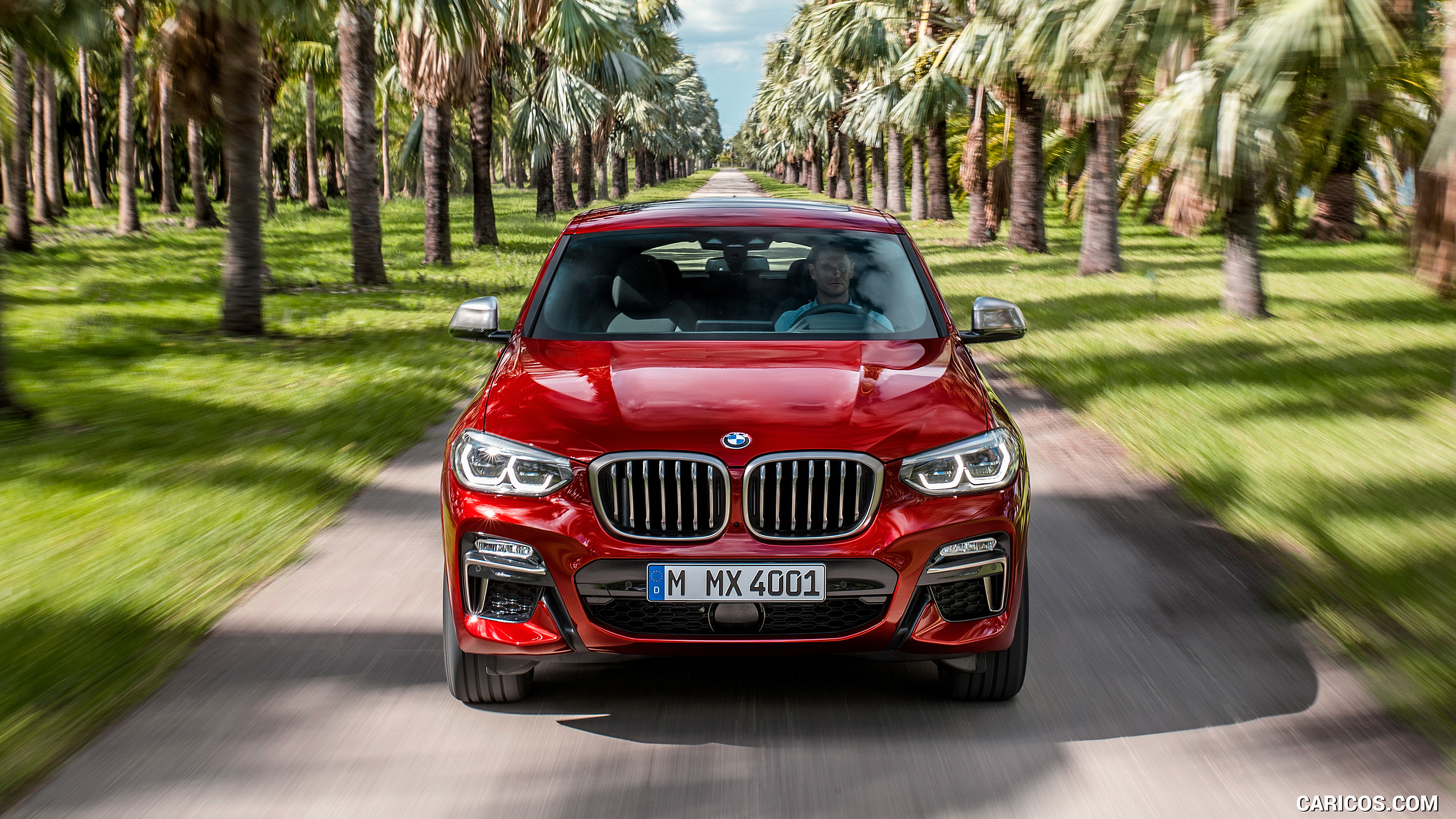 2019 BMW X4 M40d