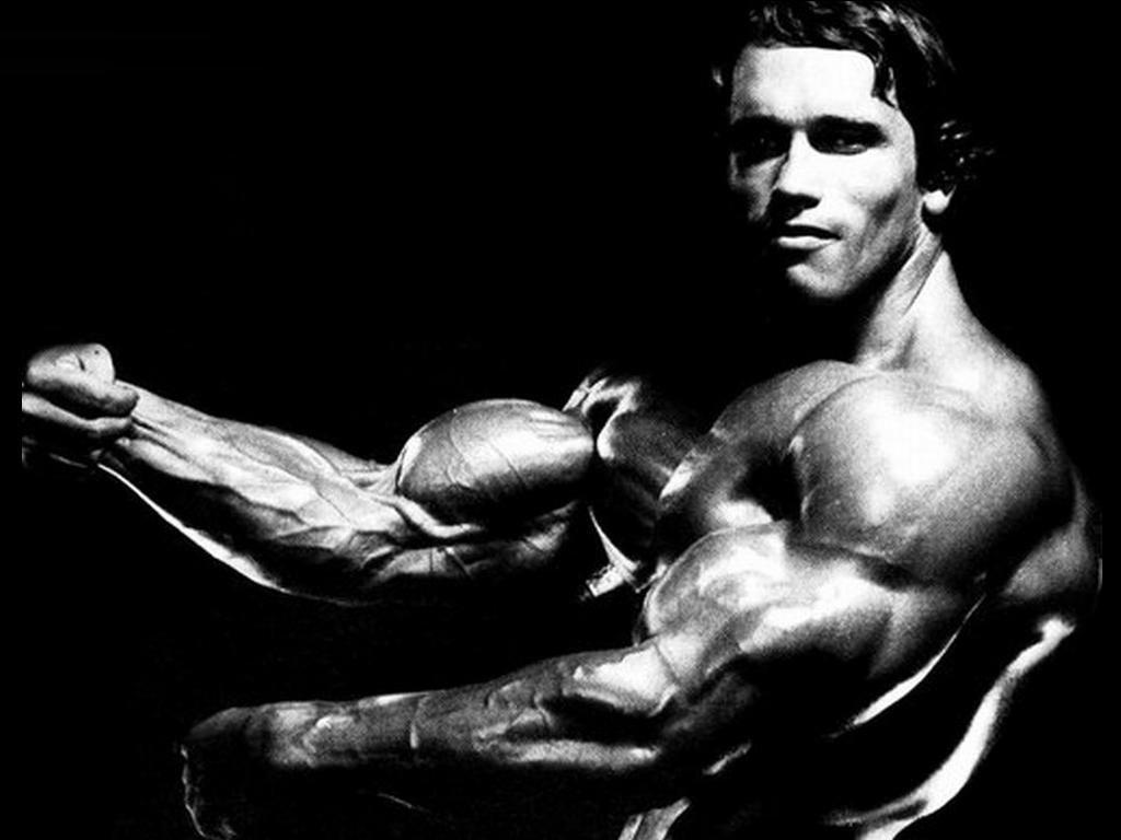 Arnold Schwarzenegger Wallpapers 9