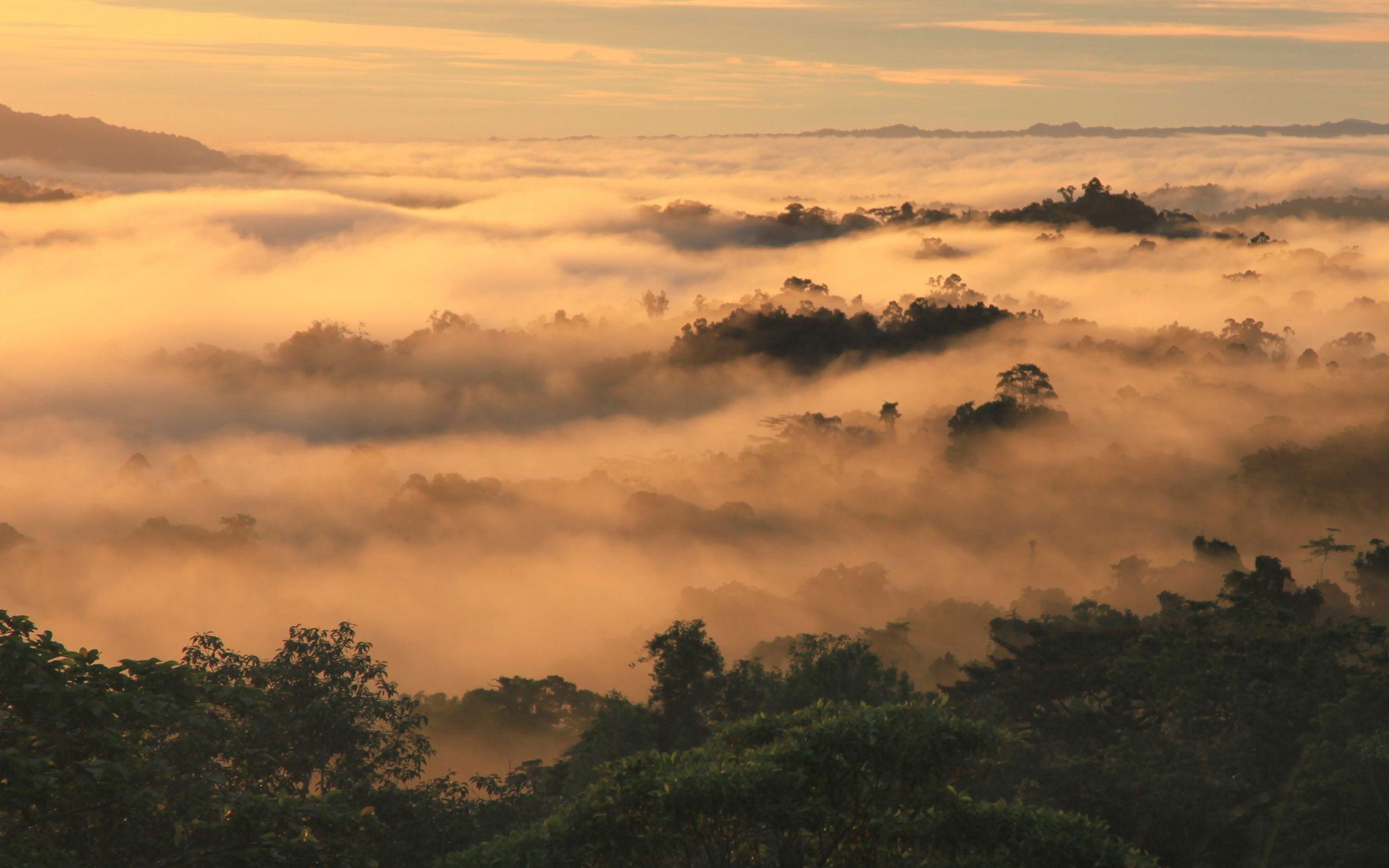 Papua New Guinea Hd Wallpapers