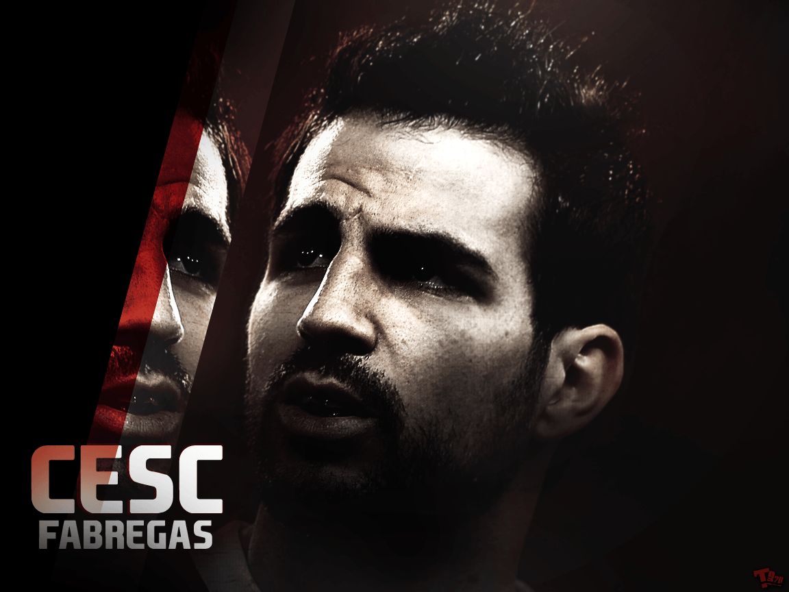 Cesc Fabregas Spanish Top Class Footballer Backgrounds