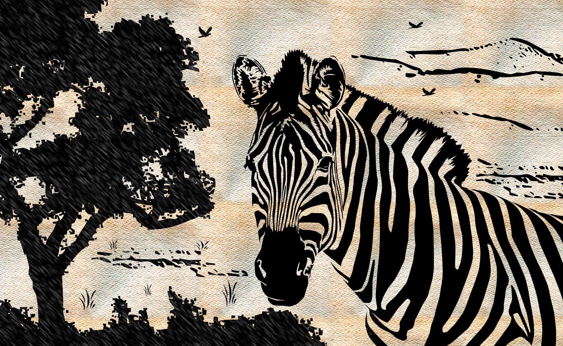 Zebra Wallpapers for Computers