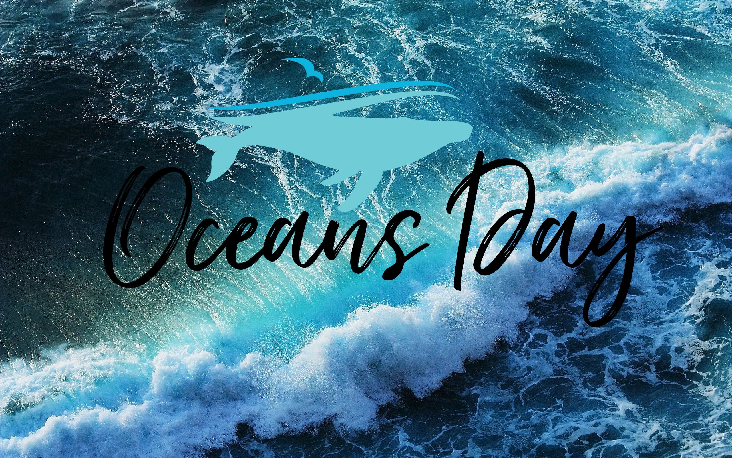 Happy World Oceans Day Surfing Hd Wallpapers