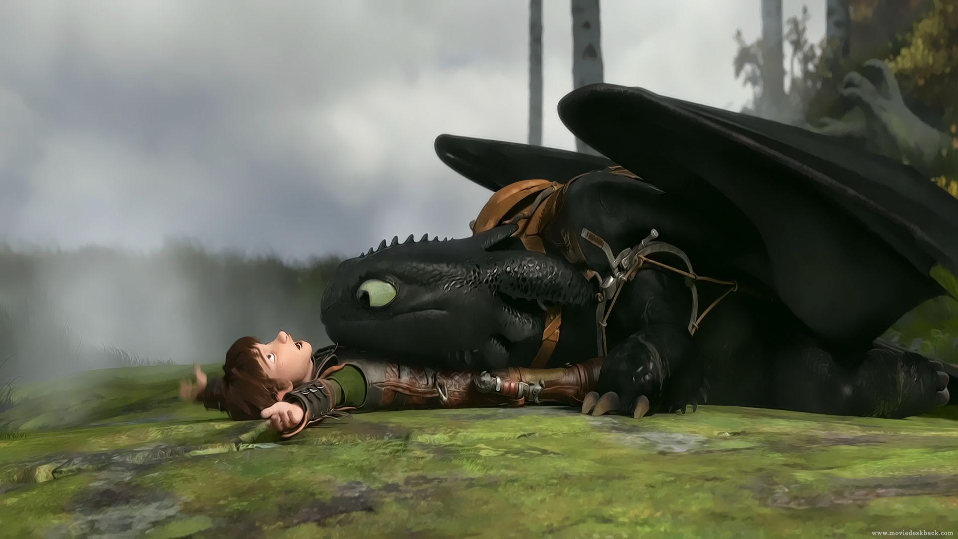 How To Train Your Dragon Wallpapers 144 Backgrounds