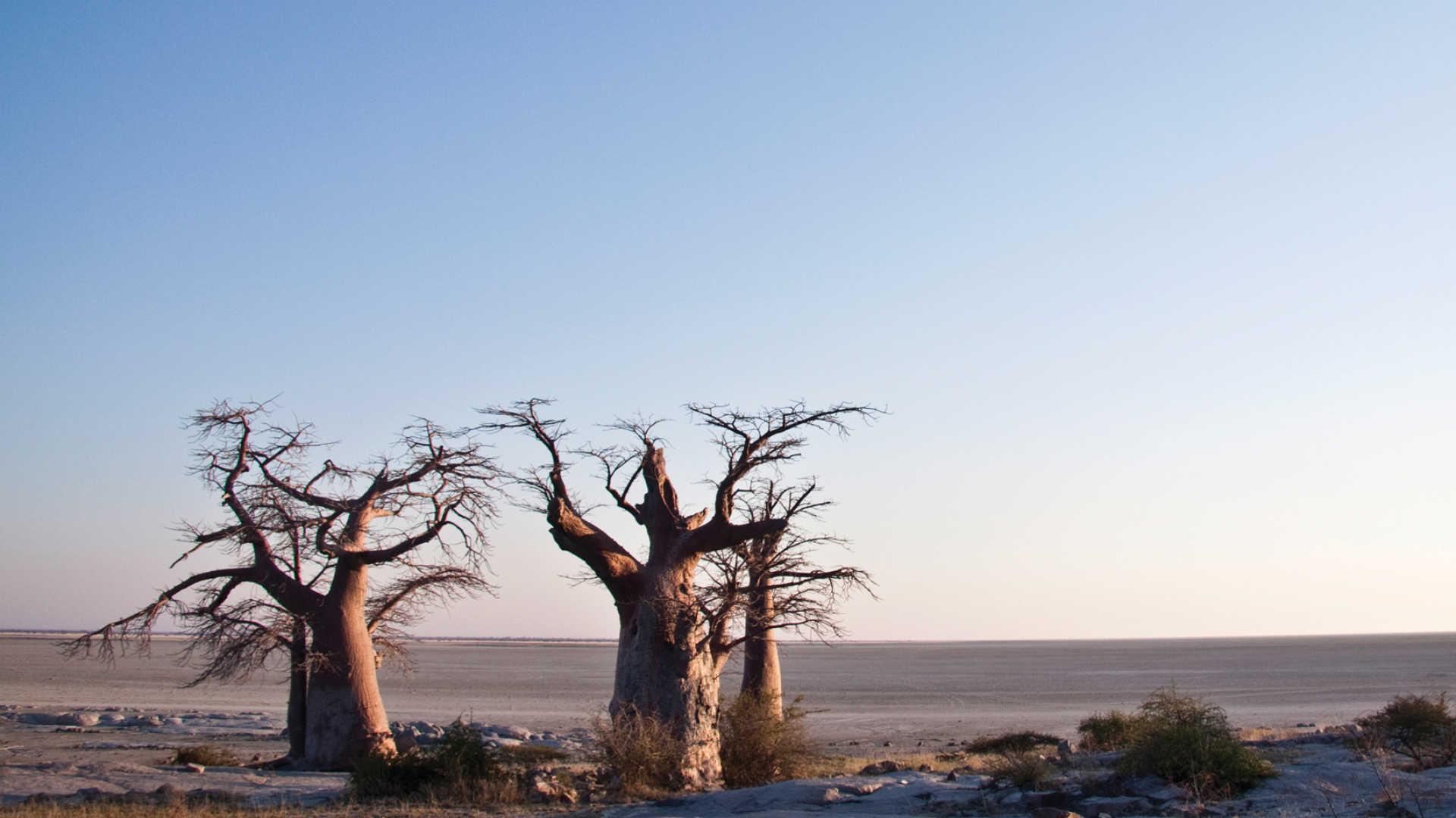 Makgadikgadi Pans Holidays