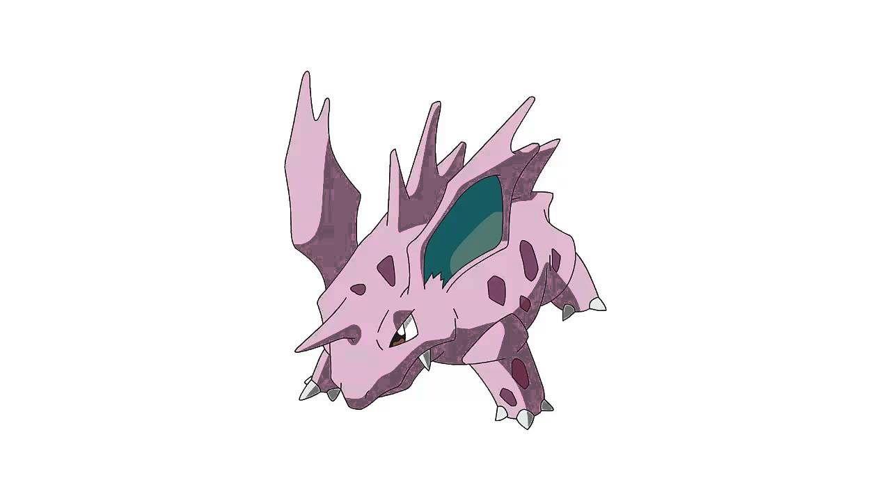 nidorino photos