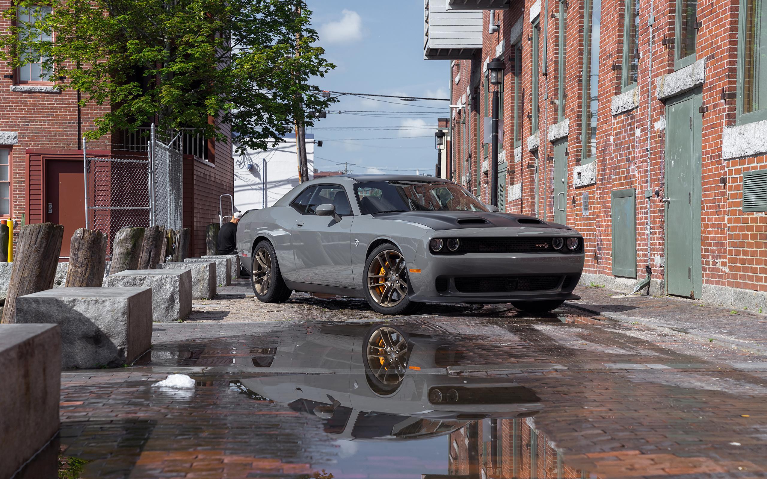 Wallpapers Dodge 2019 Challenger SRT Hellcat Grey Cars