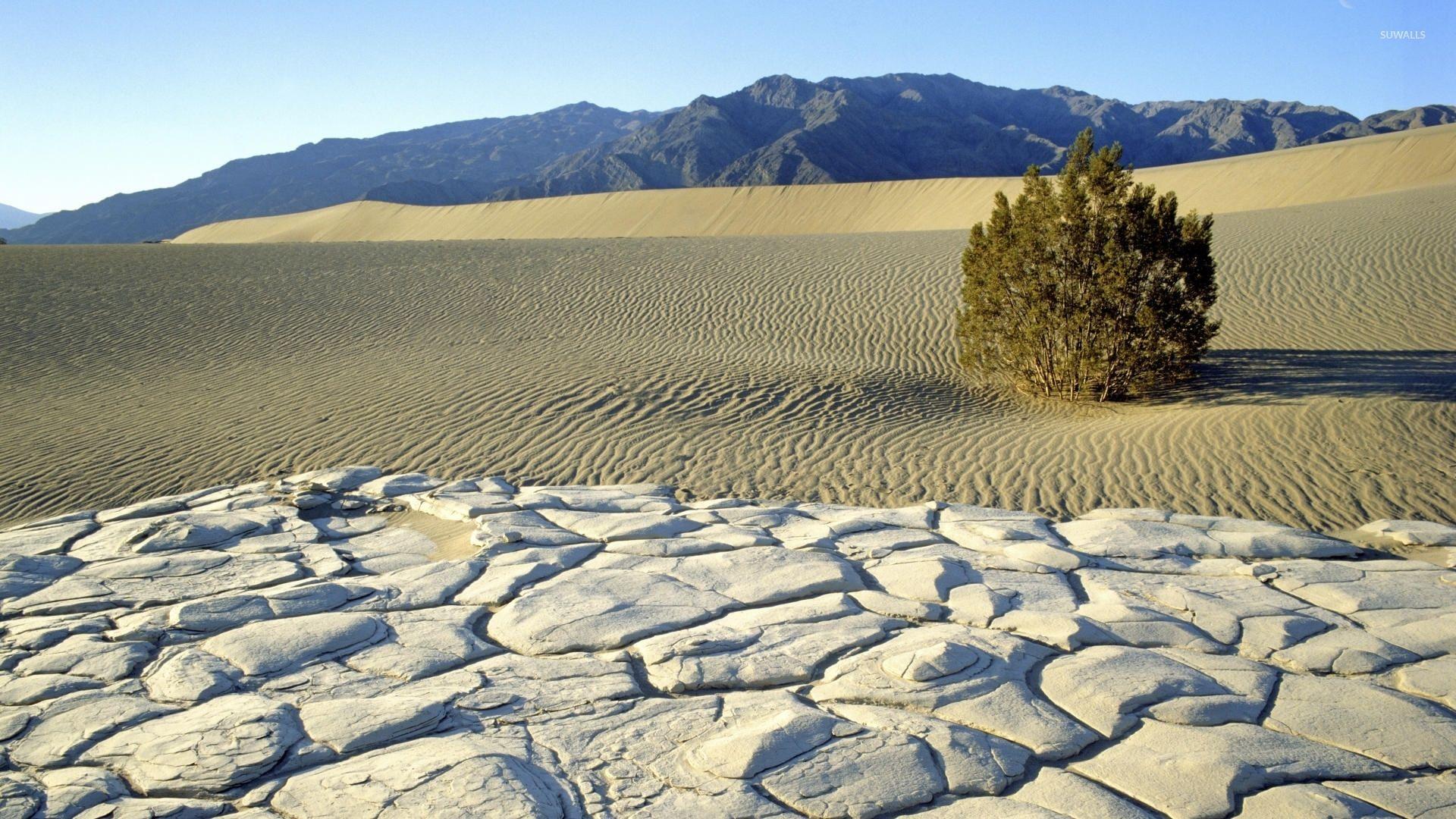 Sunny day in Death Valley National Park wallpapers