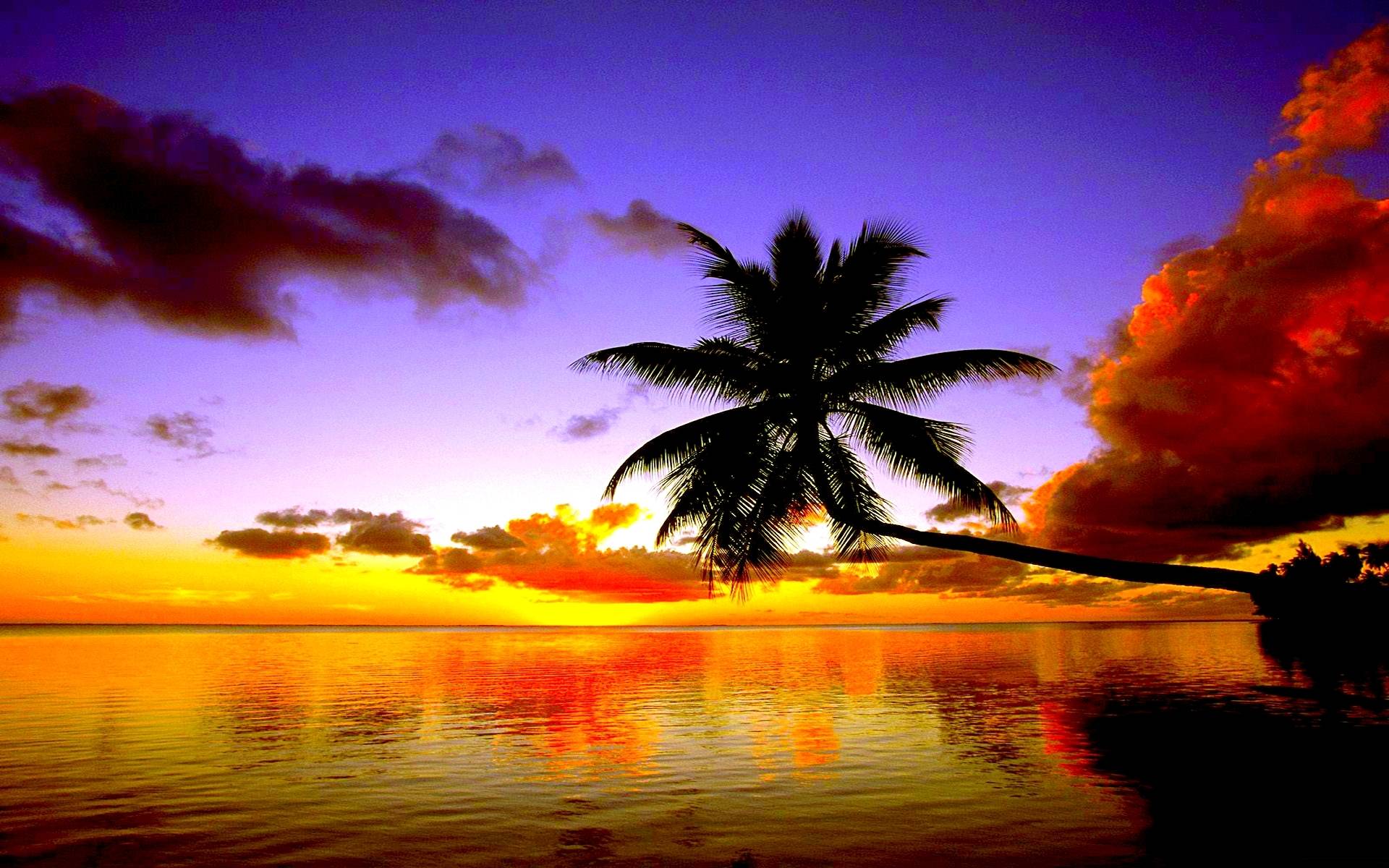 Sunset Beach Wallpapers