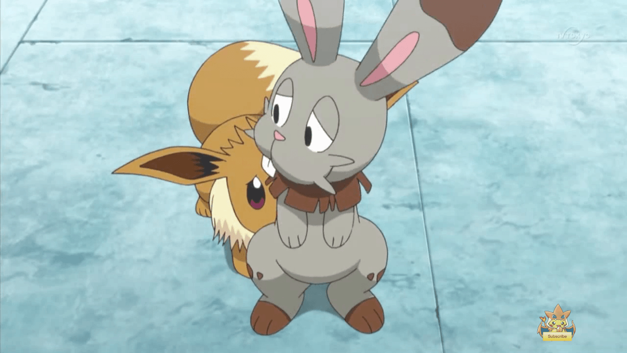 Serena’s Eevee with Clemont’s Bunnelby