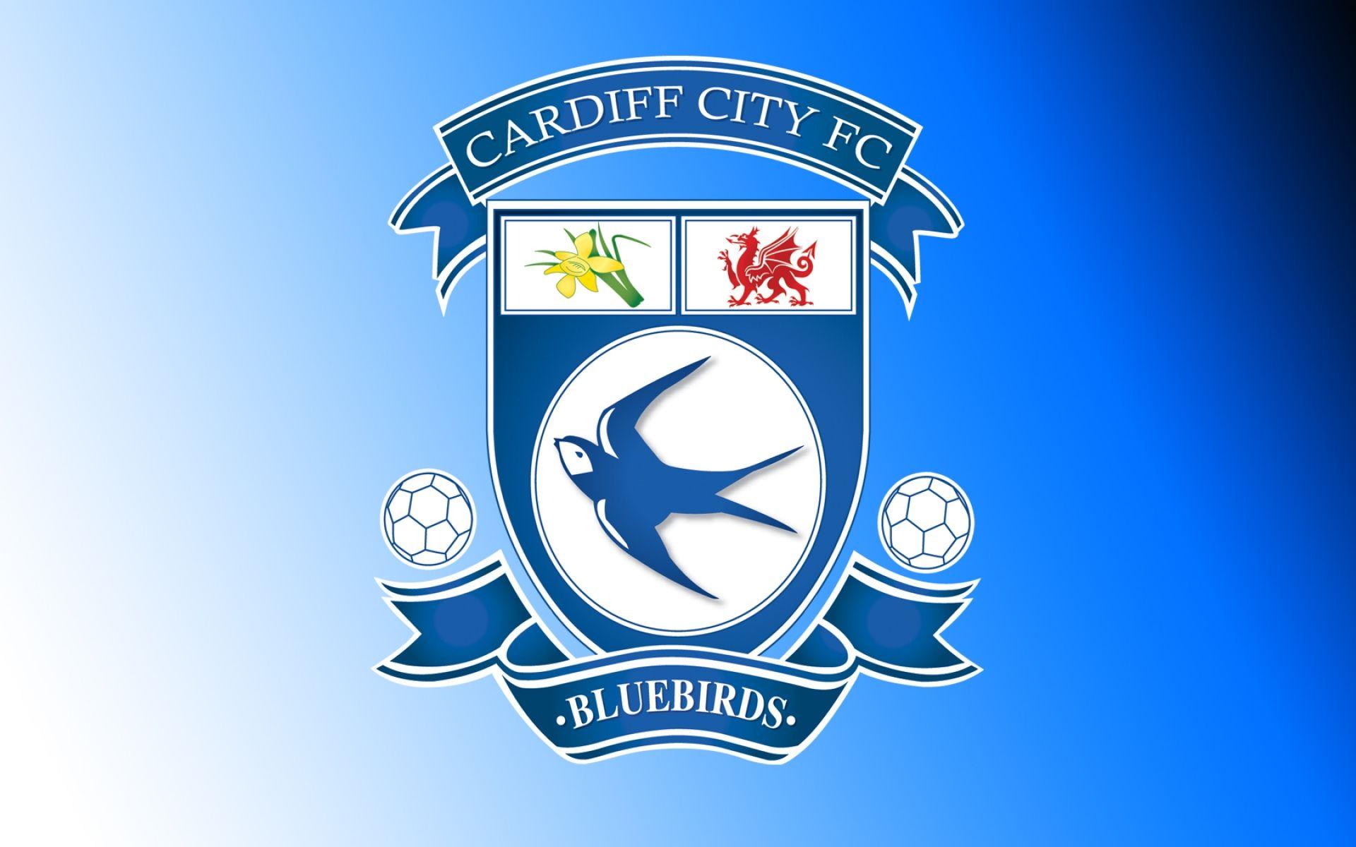 Cardiff City Wallpapers HD