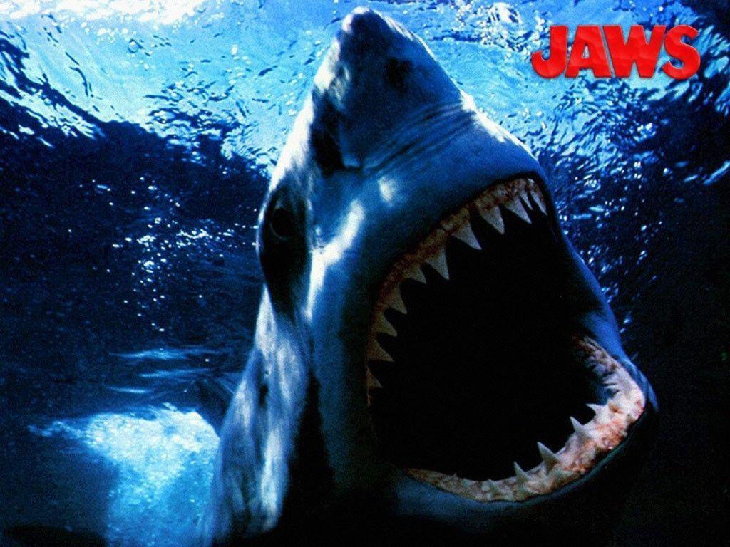 Jaws Wallpaper: Jaws Wallpapers