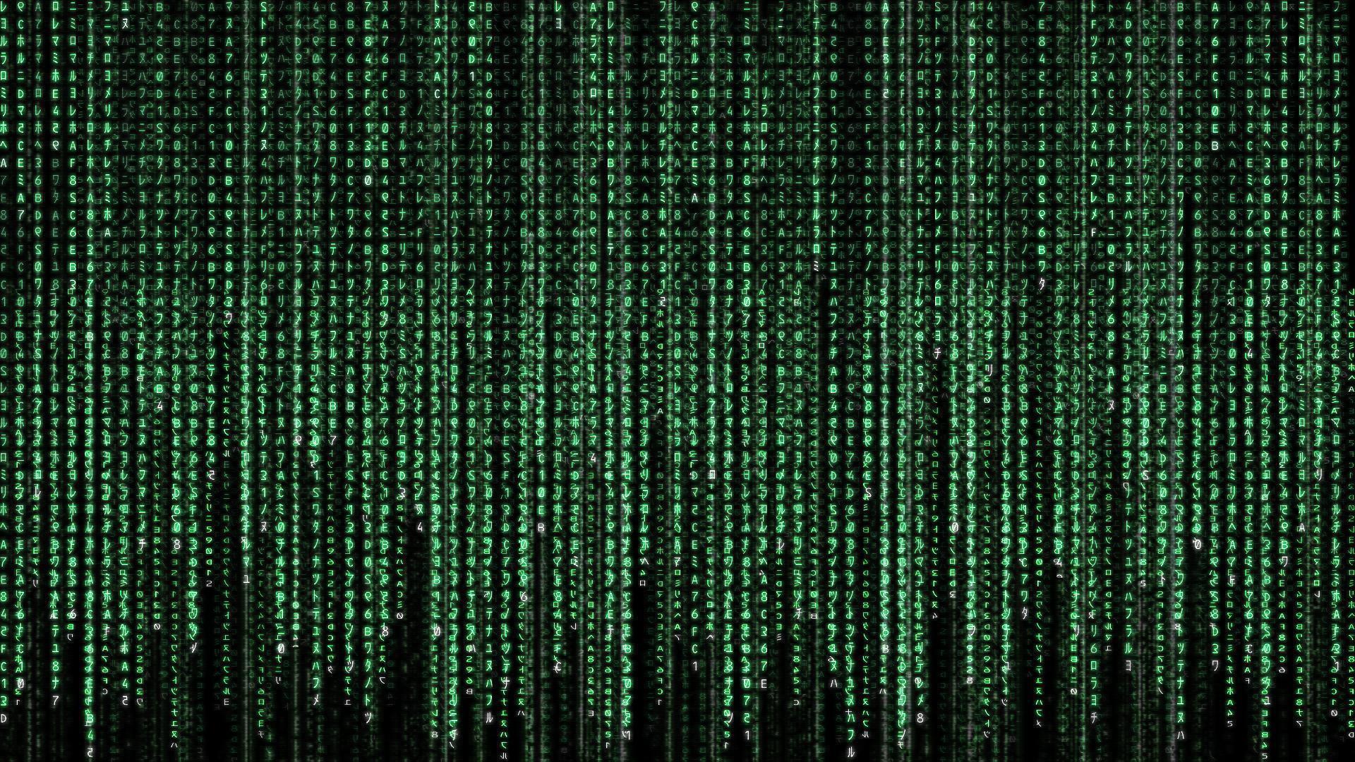 Movie the matrix Wallpapers