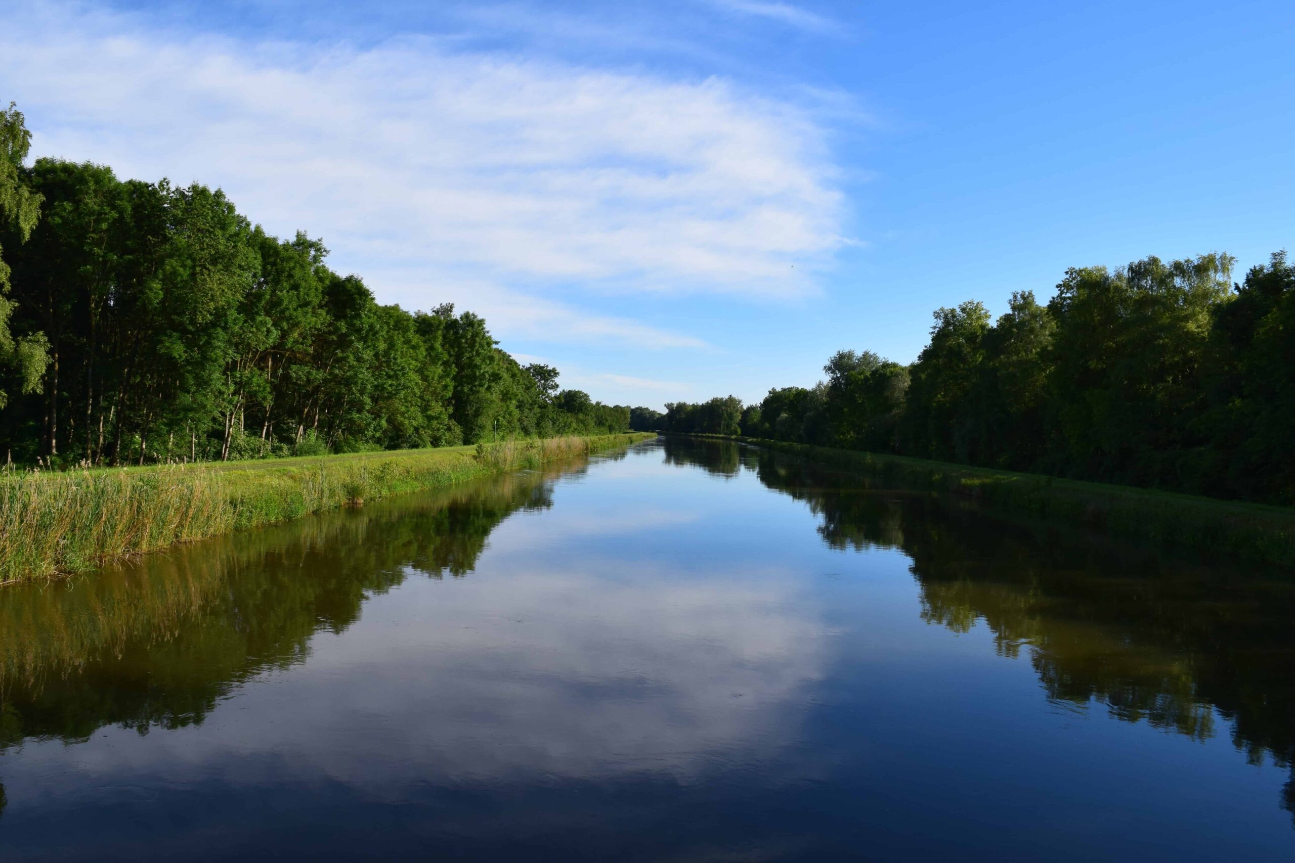 Free picture: landscape, river, water, tree, riverbank, daylight