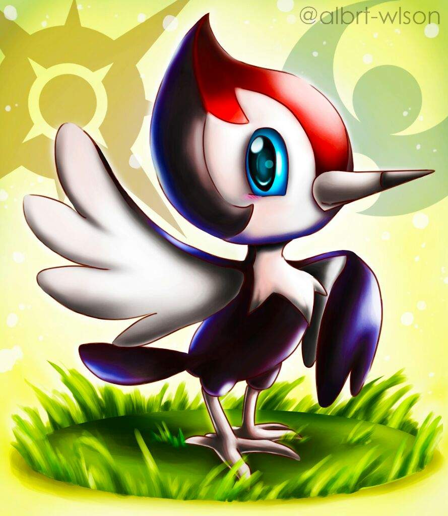 Pikipek