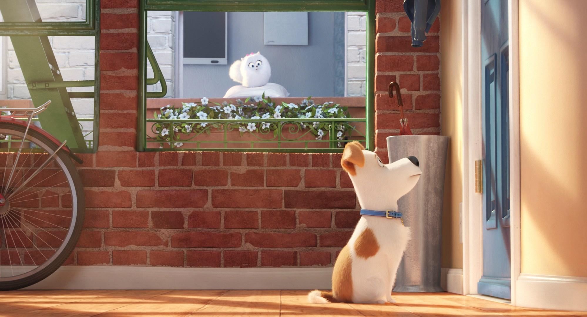 1488968 wallpapers desktop the secret life of pets