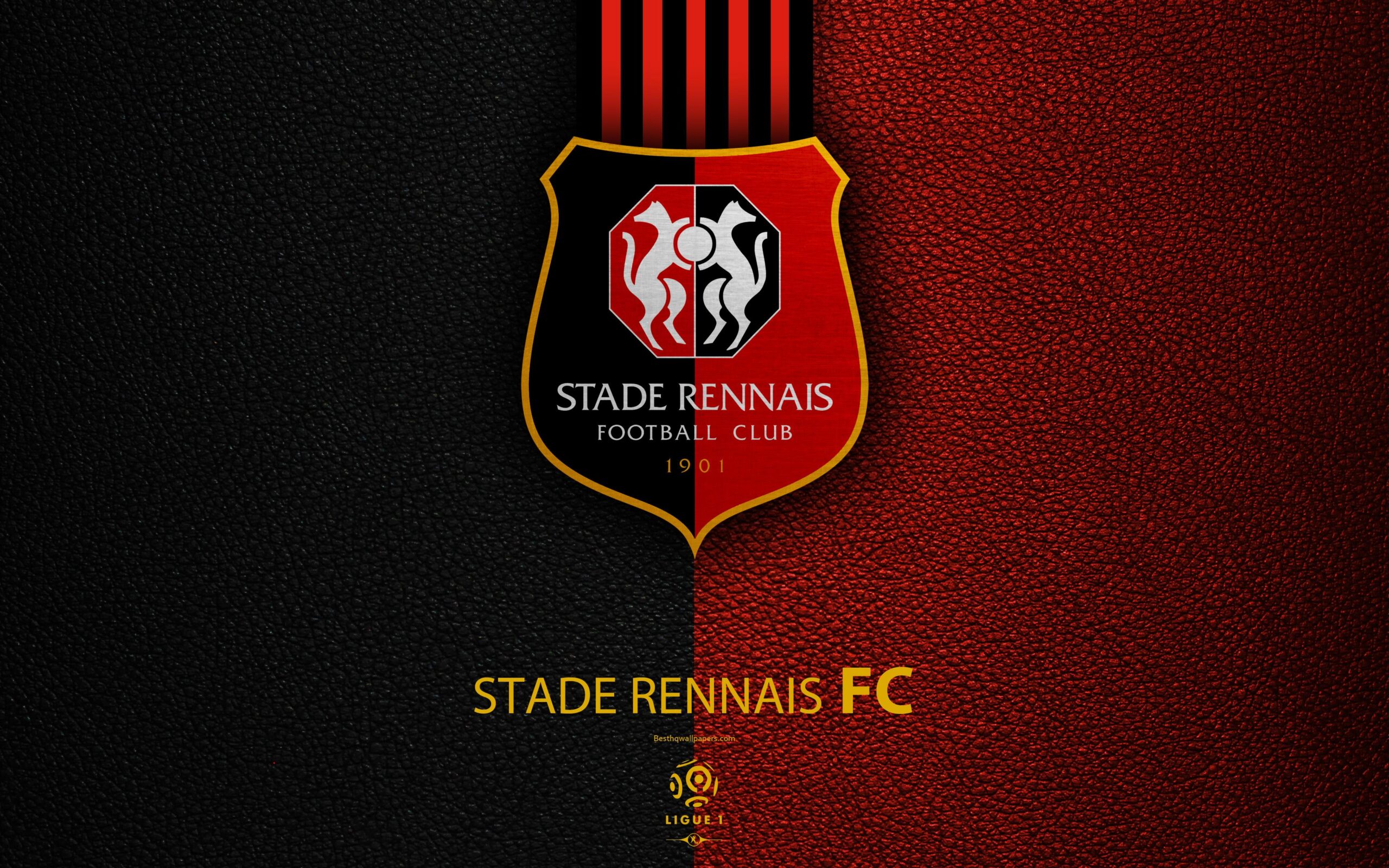 Download wallpapers Stade Rennais FC, 4K, French football club