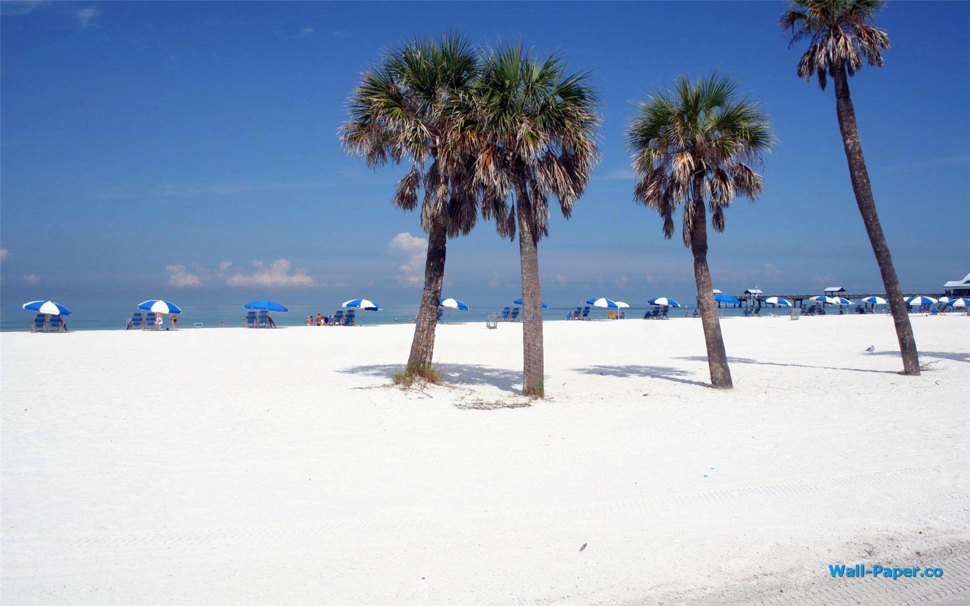 Clearwater Florida Wallpapers