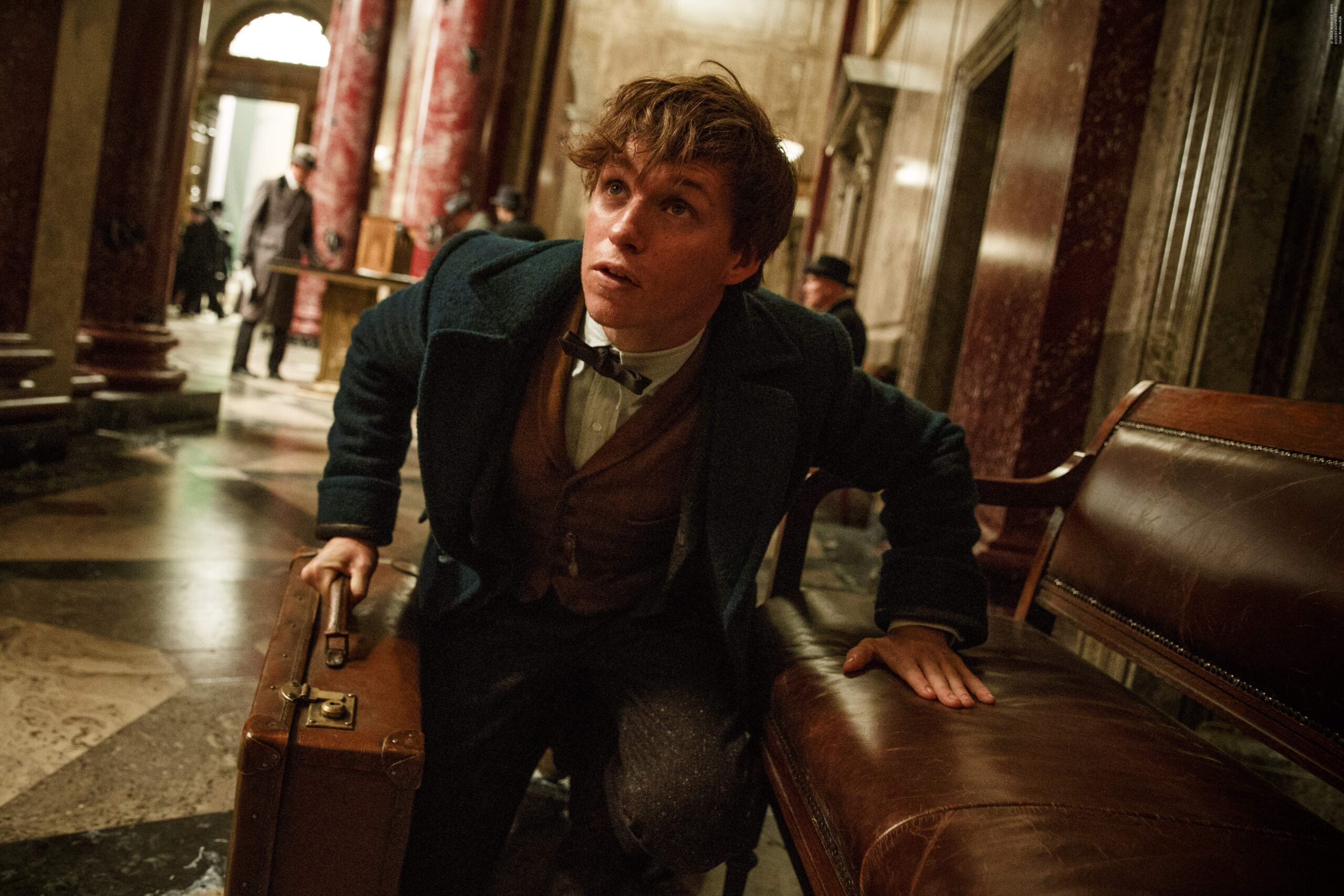 17 Fantastic Beasts and Where to Find Them HD Wallpapers