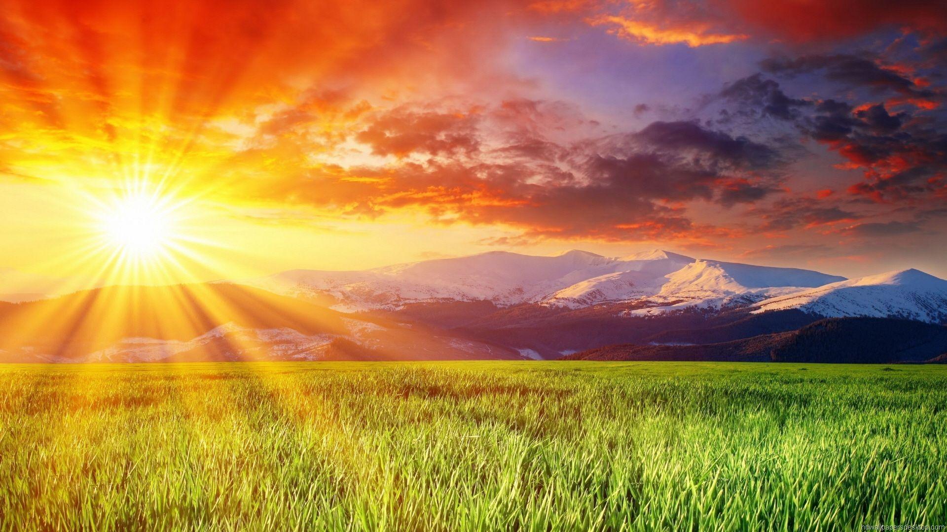 Nature HD wallpapers: Shining Sun Skies