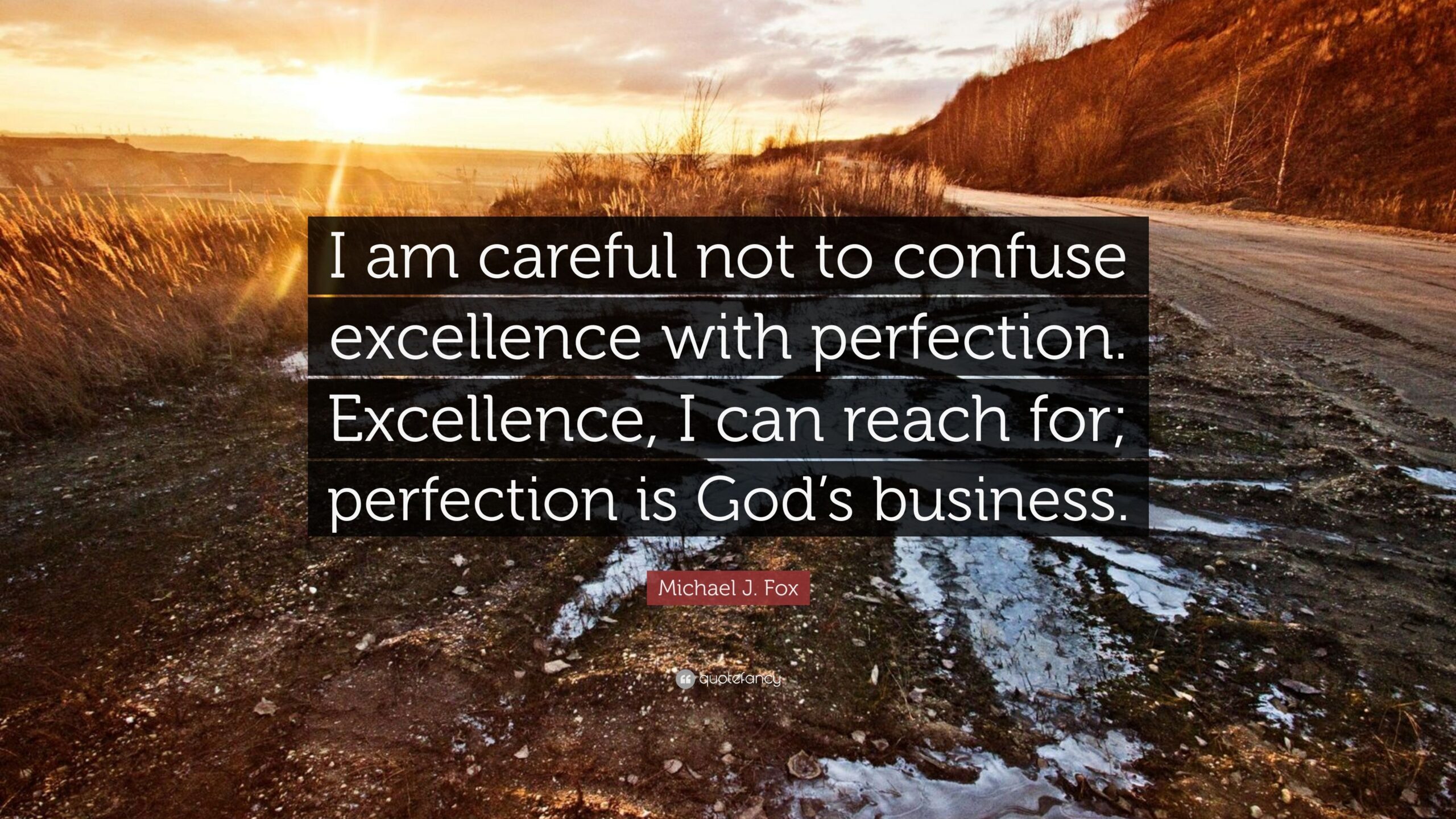 Michael J. Fox Quote: “I am careful not to confuse excellence with