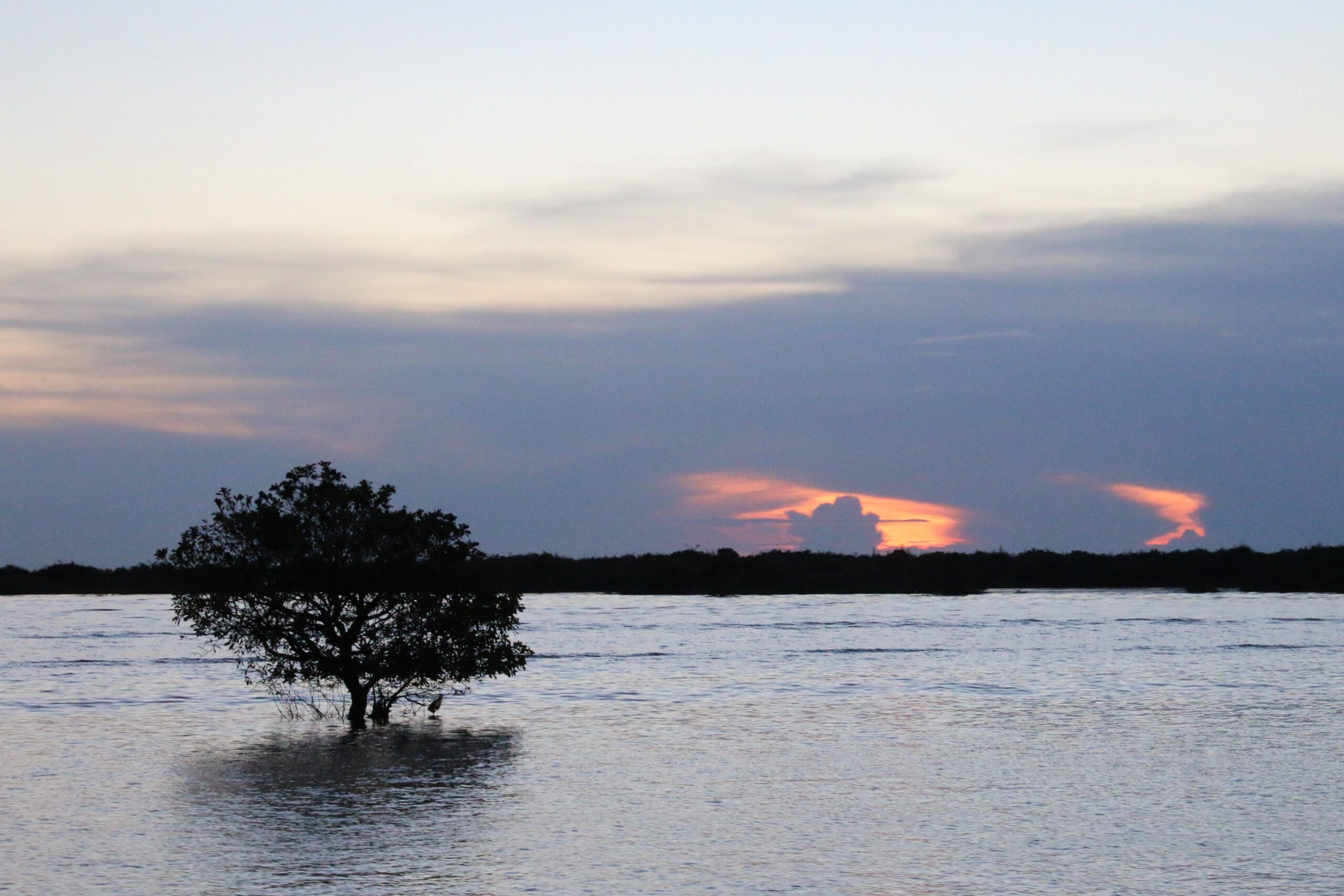 Siem Reap, Sunset, Water, Lake, Sea, Blue, Trees Wallpapers HD