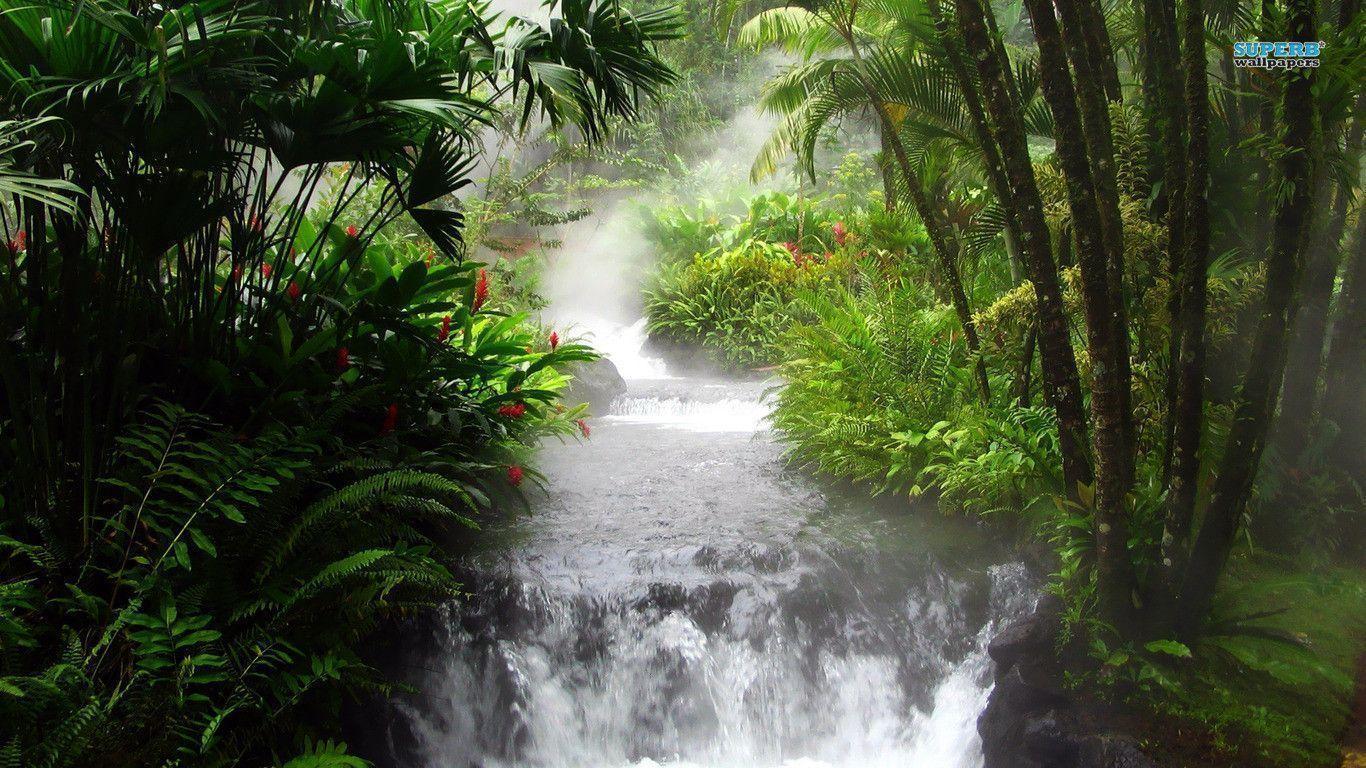 Waterfall in the jungle wallpapers