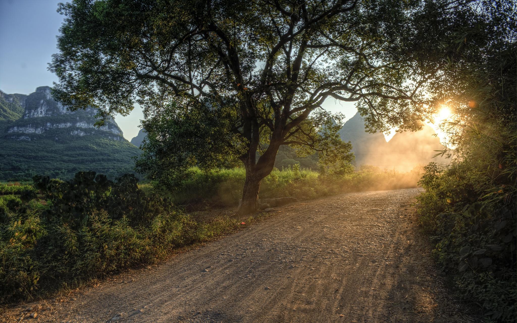 Download wallpapers road, light, way, sun, trees