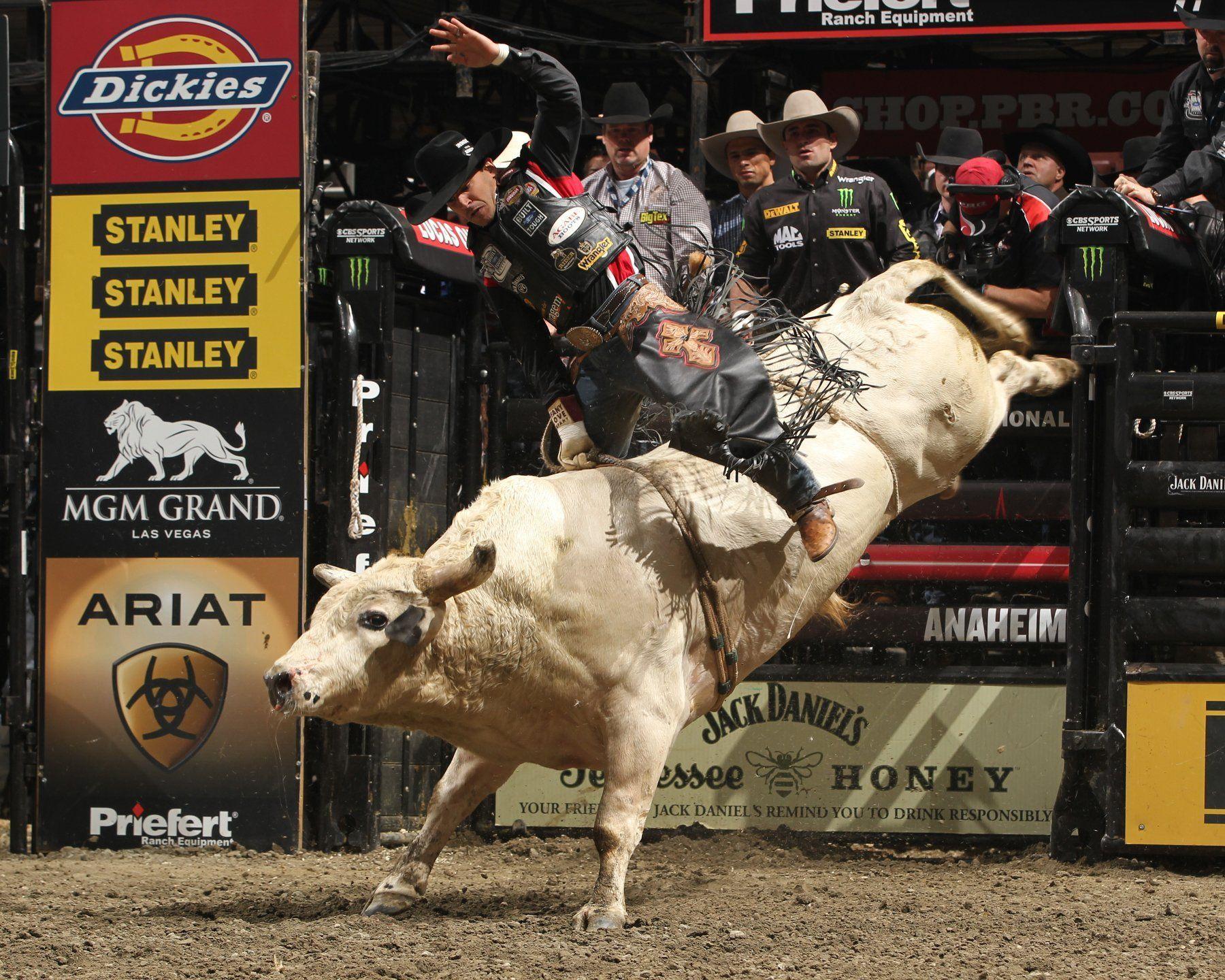 Bullriding Computer Wallpapers, Desktop Backgrounds Id