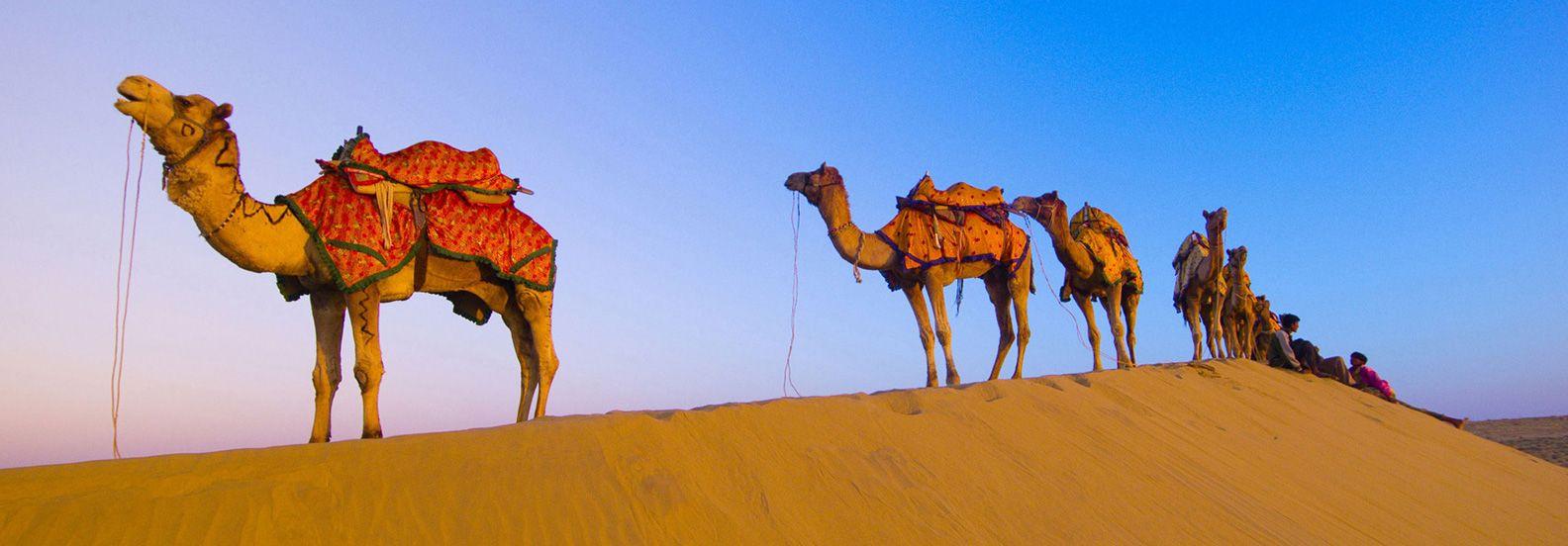 India Tour by Cabs on Rajasthan Tours