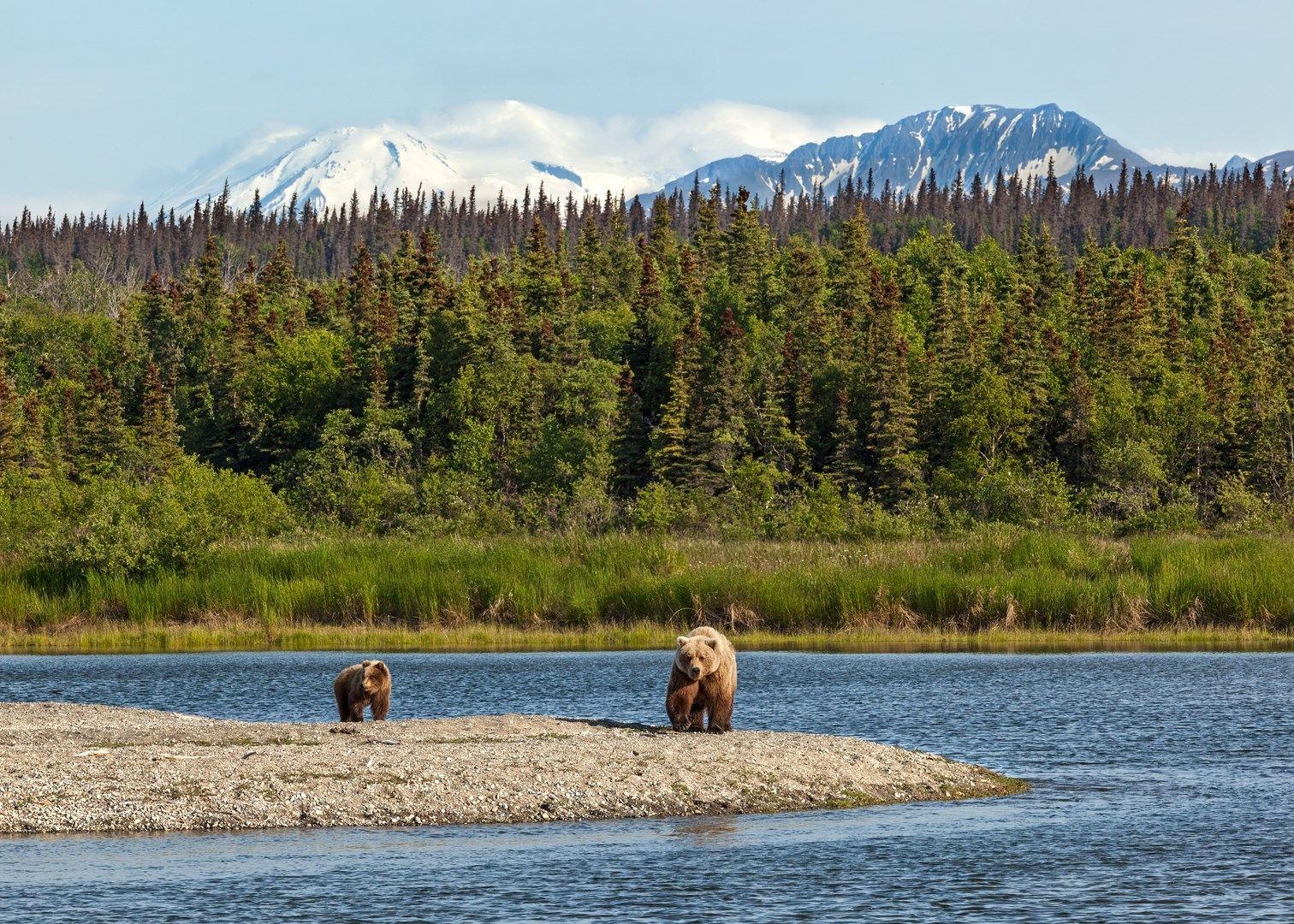 katmai national park and preserve