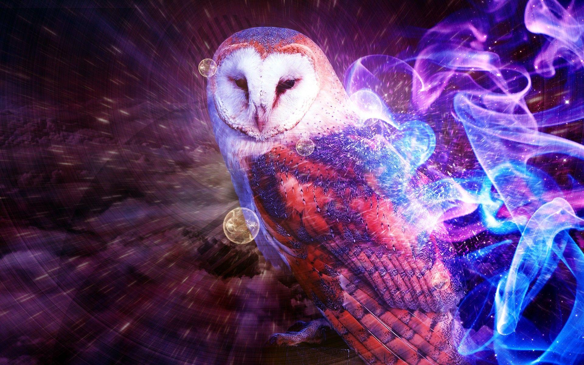 Owl Wallpapers