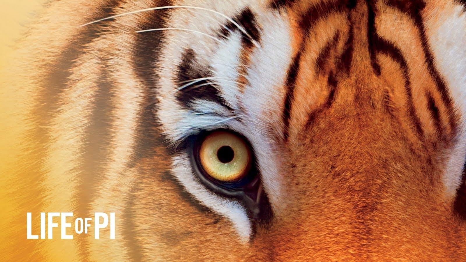 Rendered Bits: Life of Pi Wallpapers