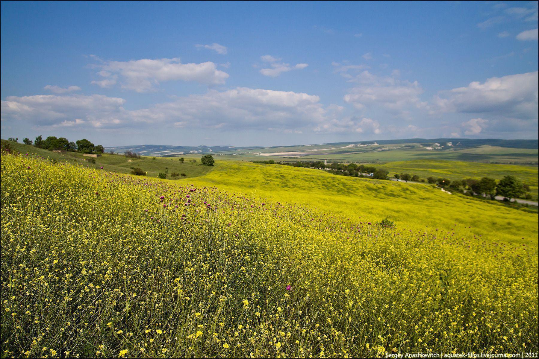 Beautiful set of wallpapers “Summer in Ukraine” · Ukraine travel blog