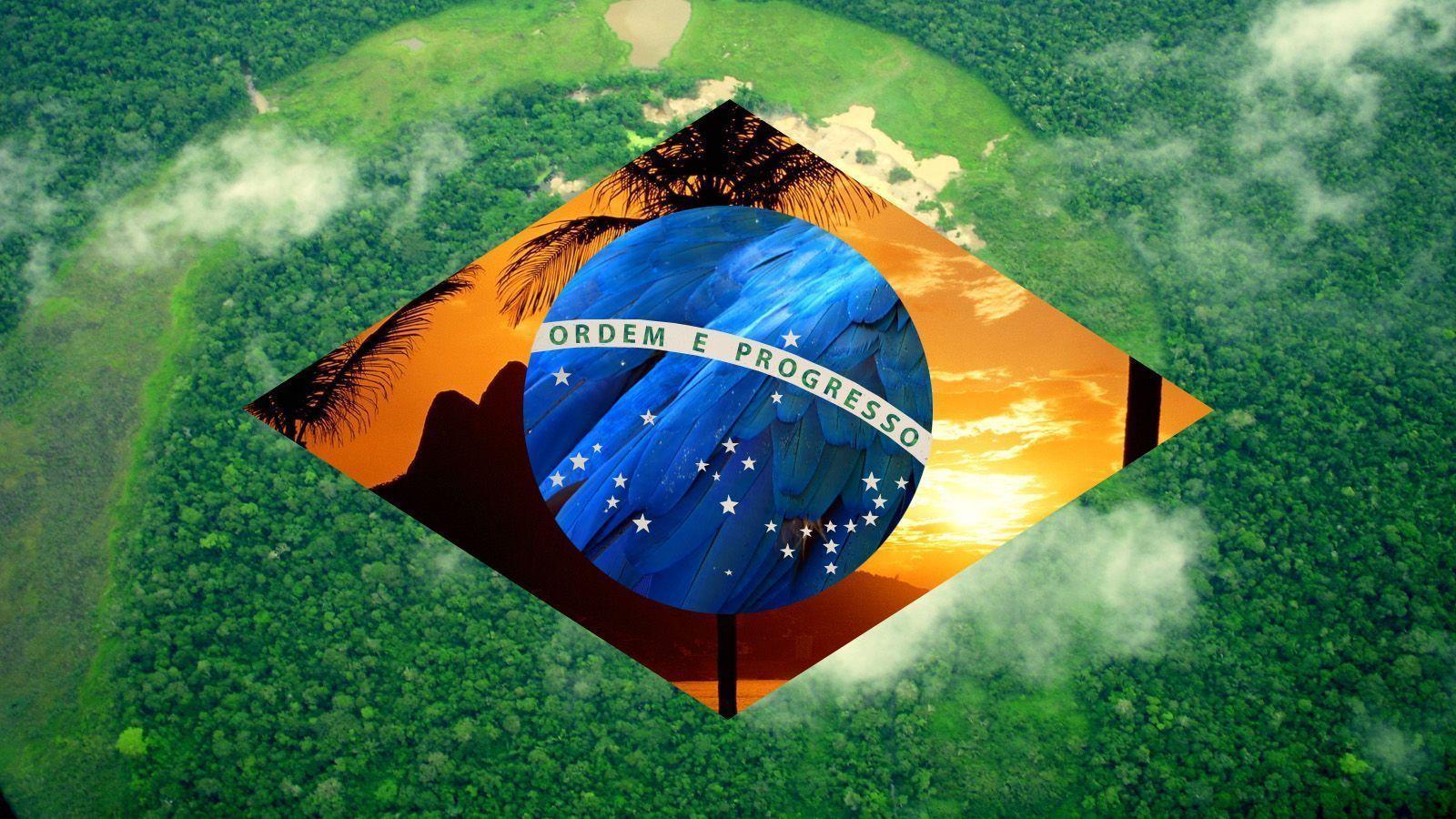 Brazilian Flag Wallpapers Image Picture