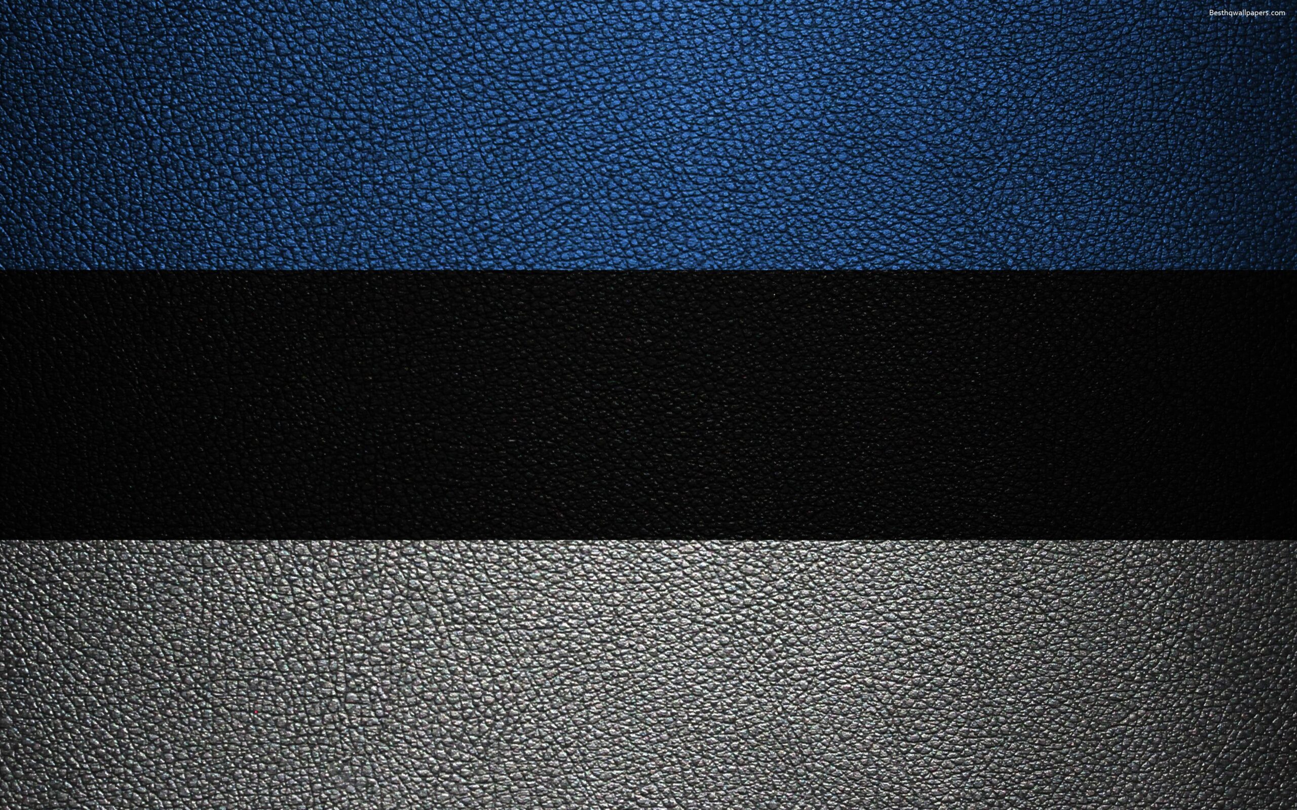 Download wallpapers Flag of Estonia, 4k, leather texture, Estonian