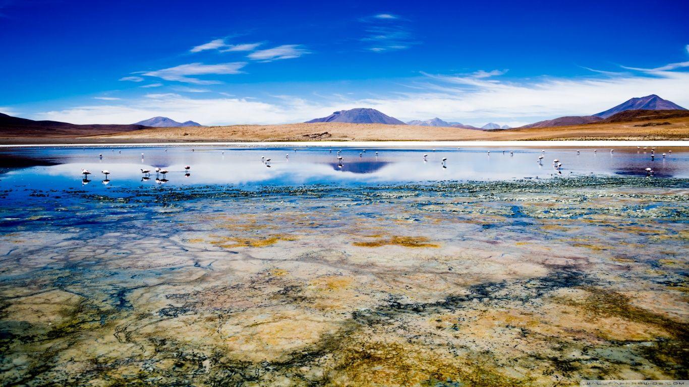 Cañapa Lake, Bolivia HD HD desktop wallpapers : Widescreen : High