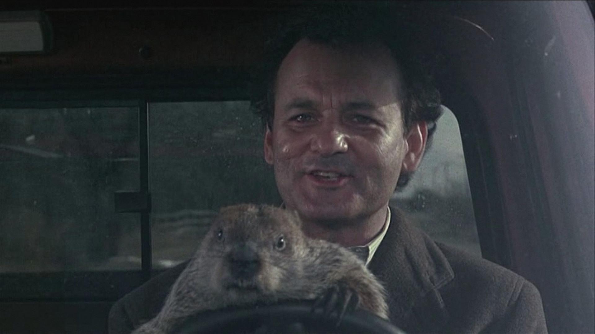 Groundhog Day 2013