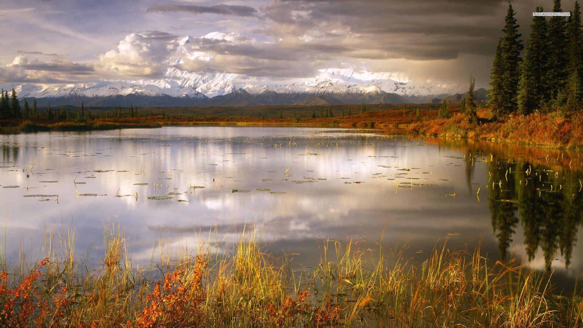 Denali National Park 860540