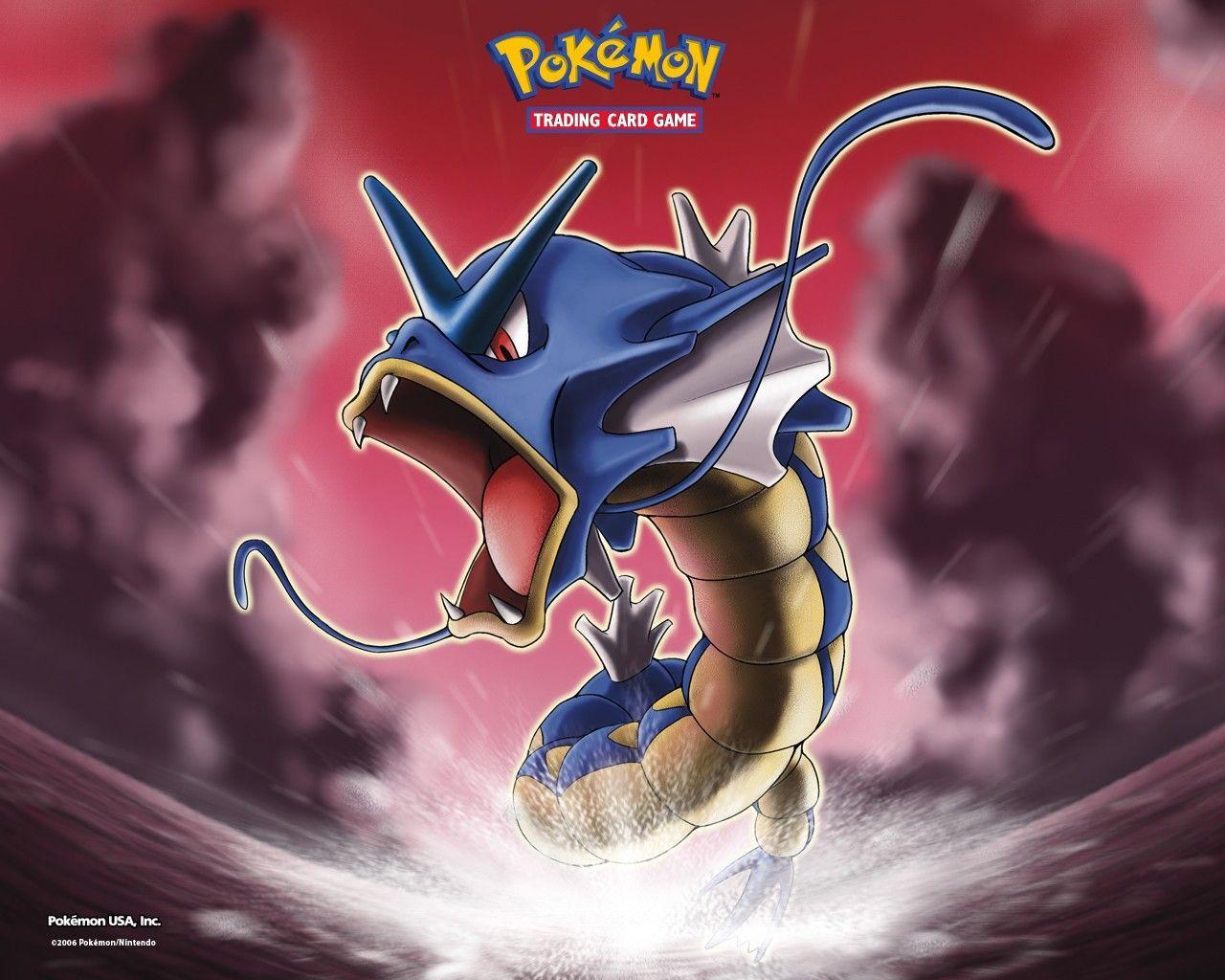 pokemon gyarados wallpapers High Quality Wallpapers,High