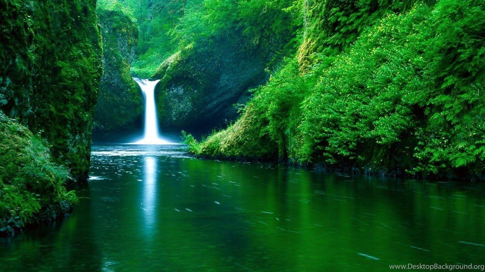 Waterfall forest green full HD nature backgrounds wallpapers for