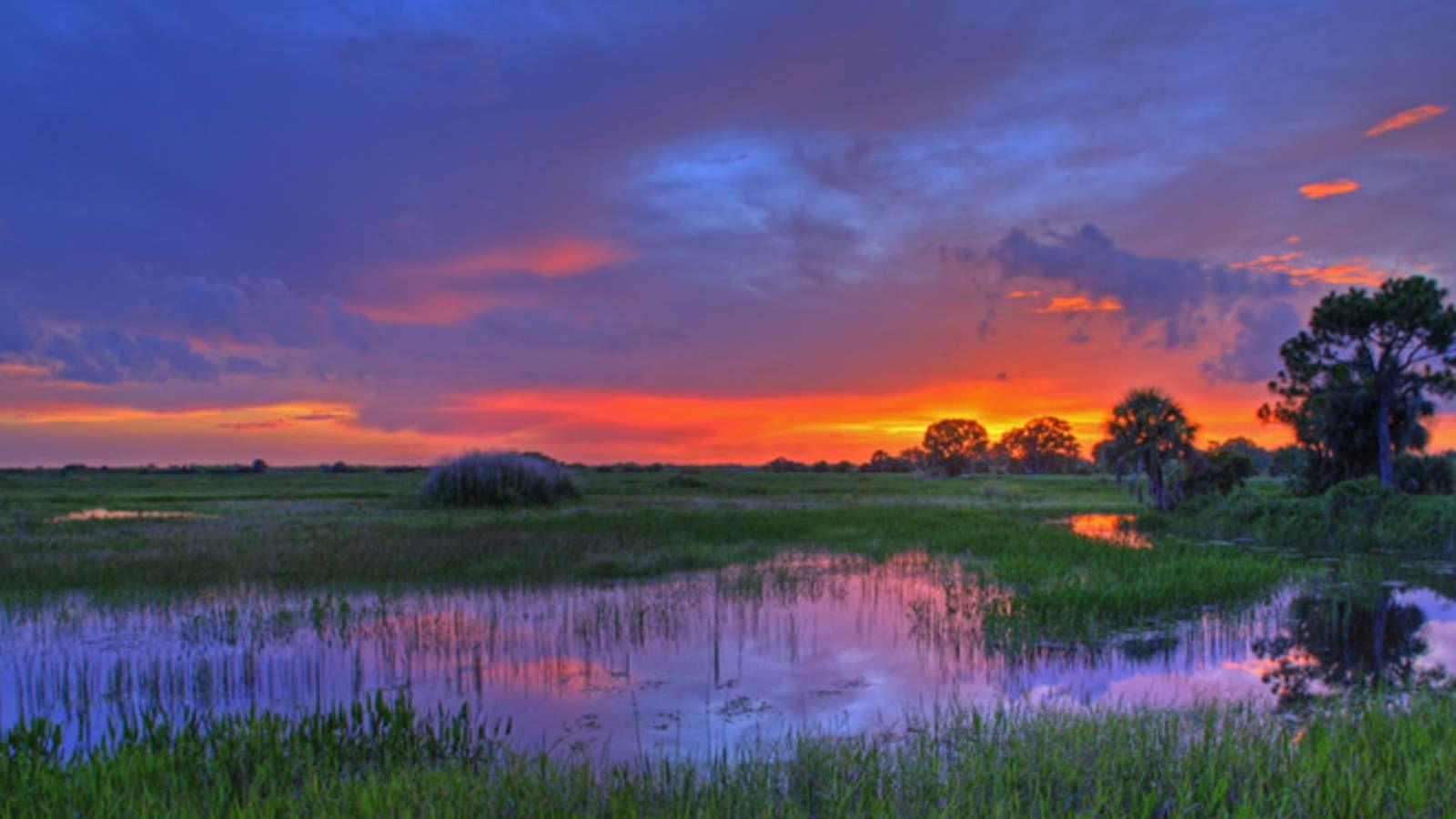 Florida Ups the Ante in Everglades Restoration with $90 Million