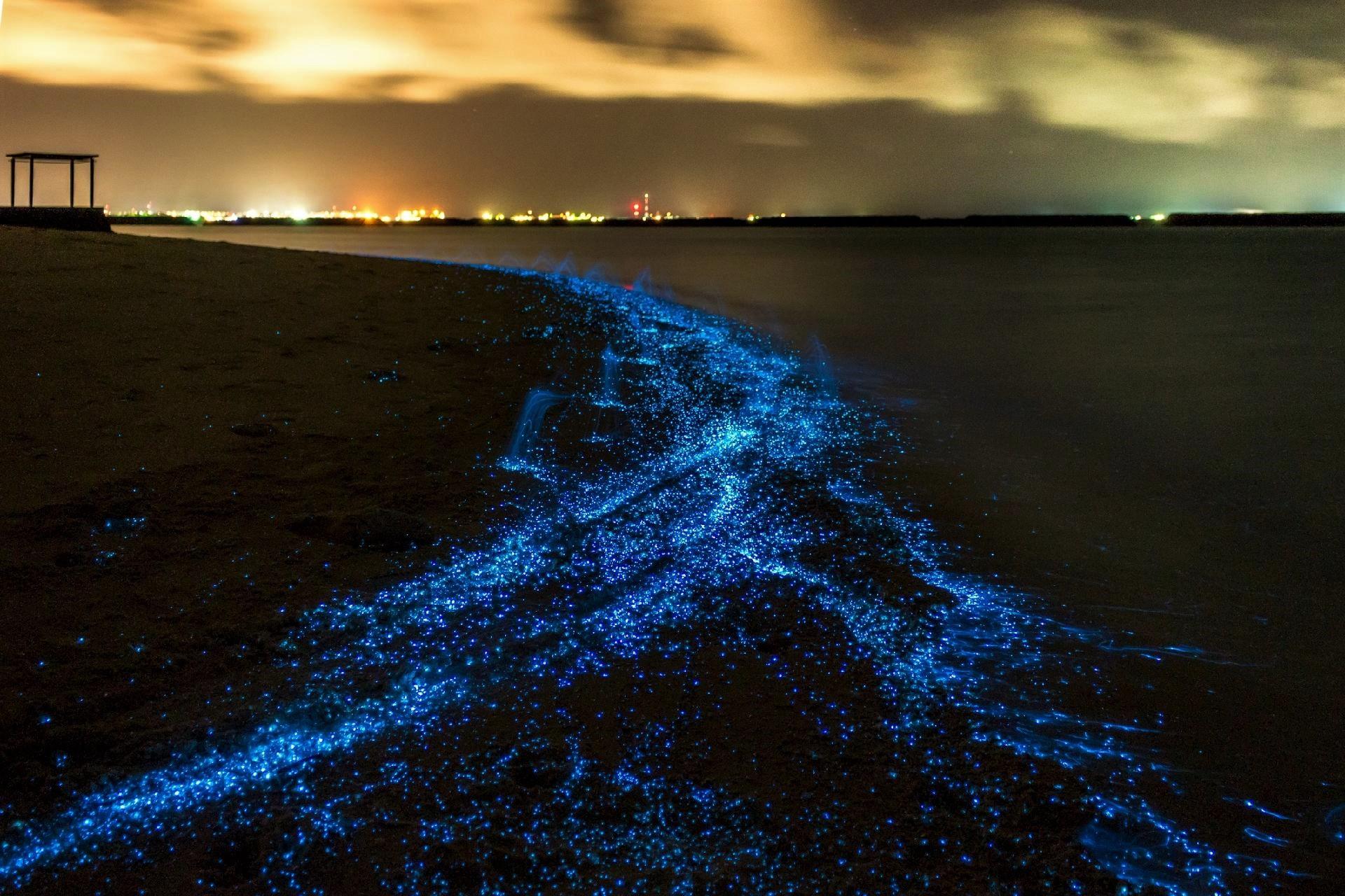 The Sea of Stars on Vaadhoo Island, Maldives