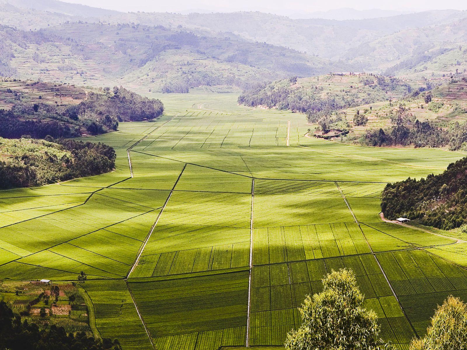 Changing Holiday, Rwanda, Africa, Aerial view