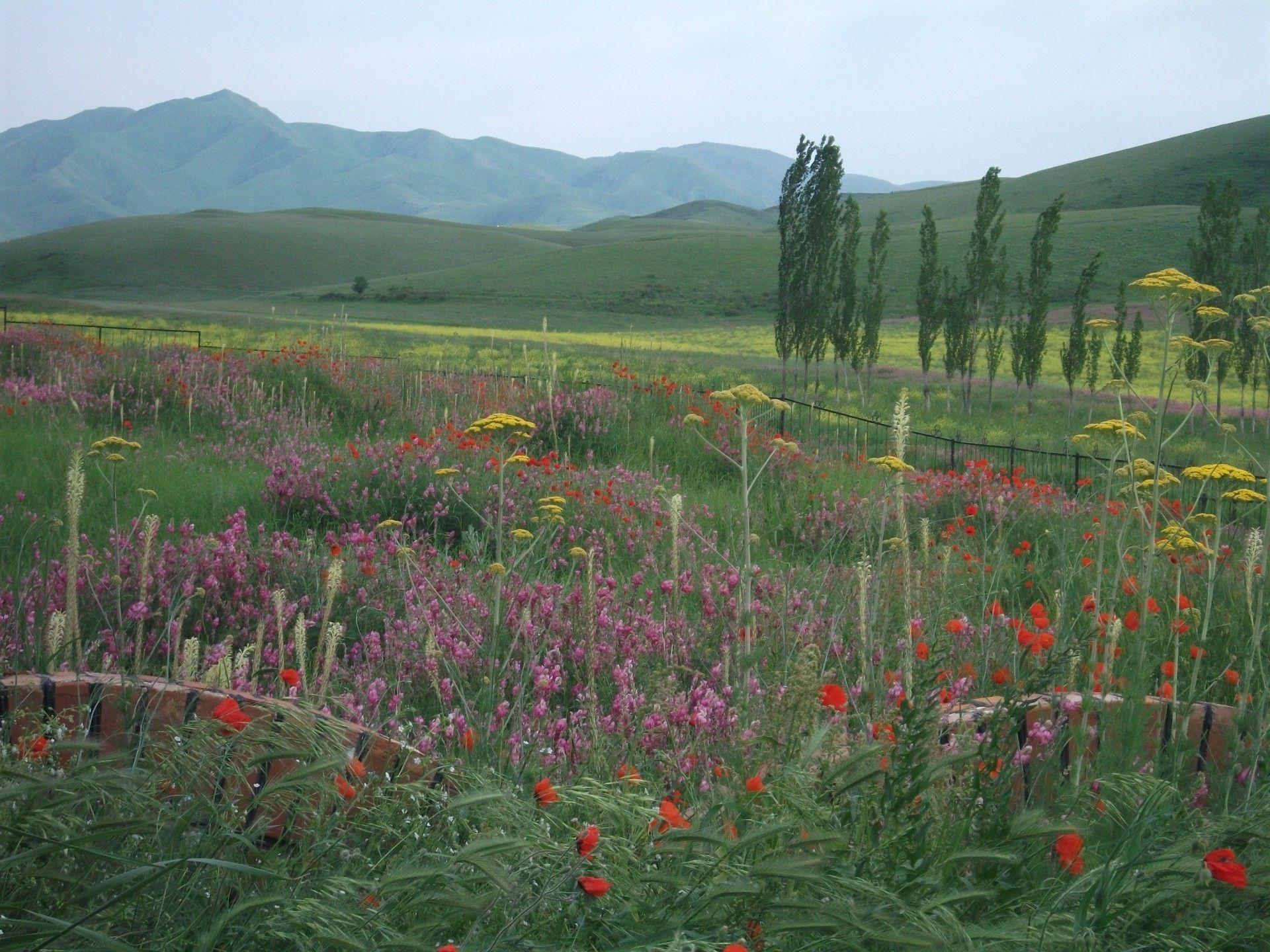 The beauty of the steppes of Kazakhstan.. Android wallpapers for free