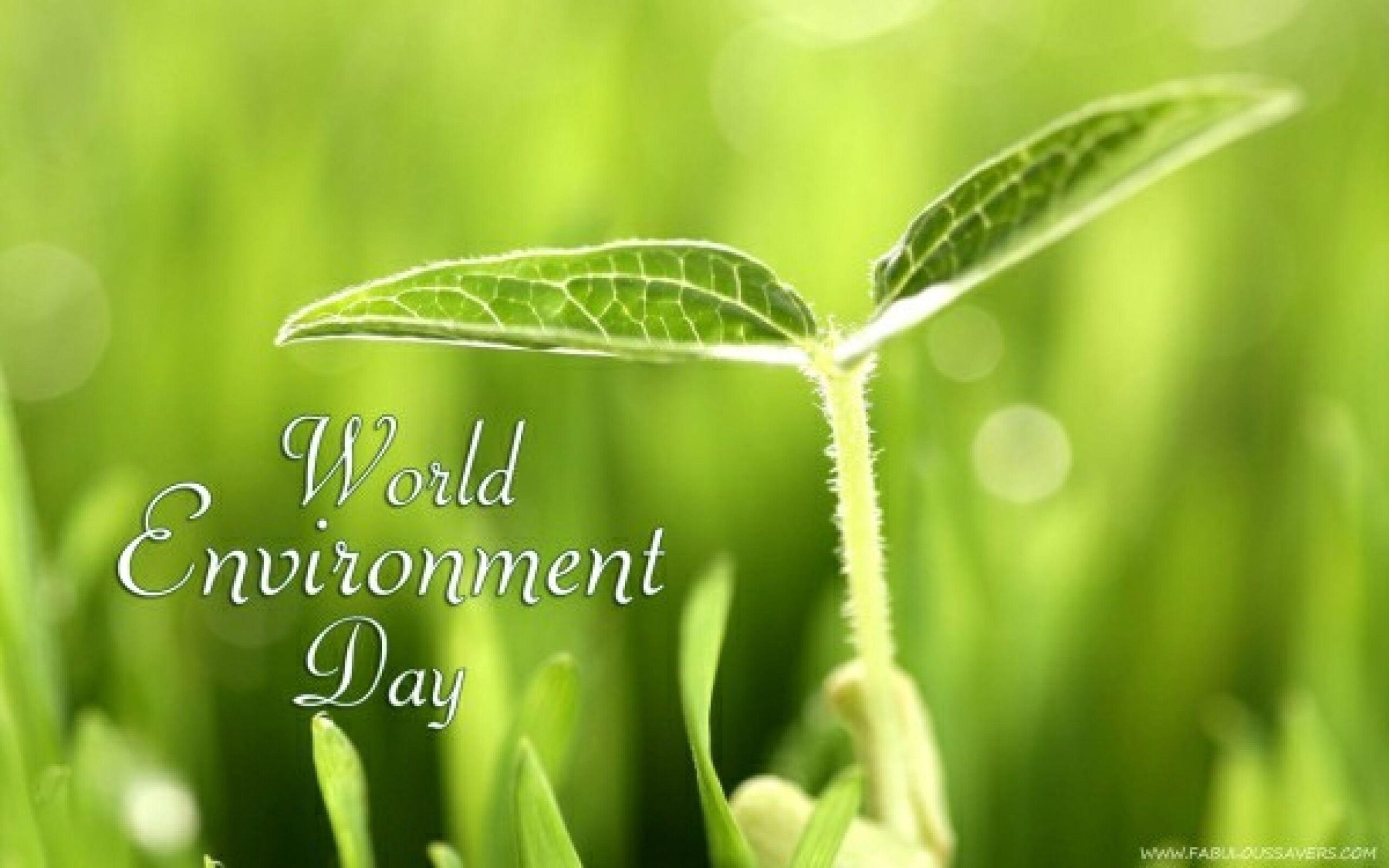 World Environment Day Free Computer Desktop Wallpapers