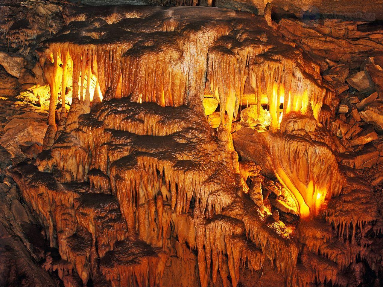 Mammoth Cave National Park