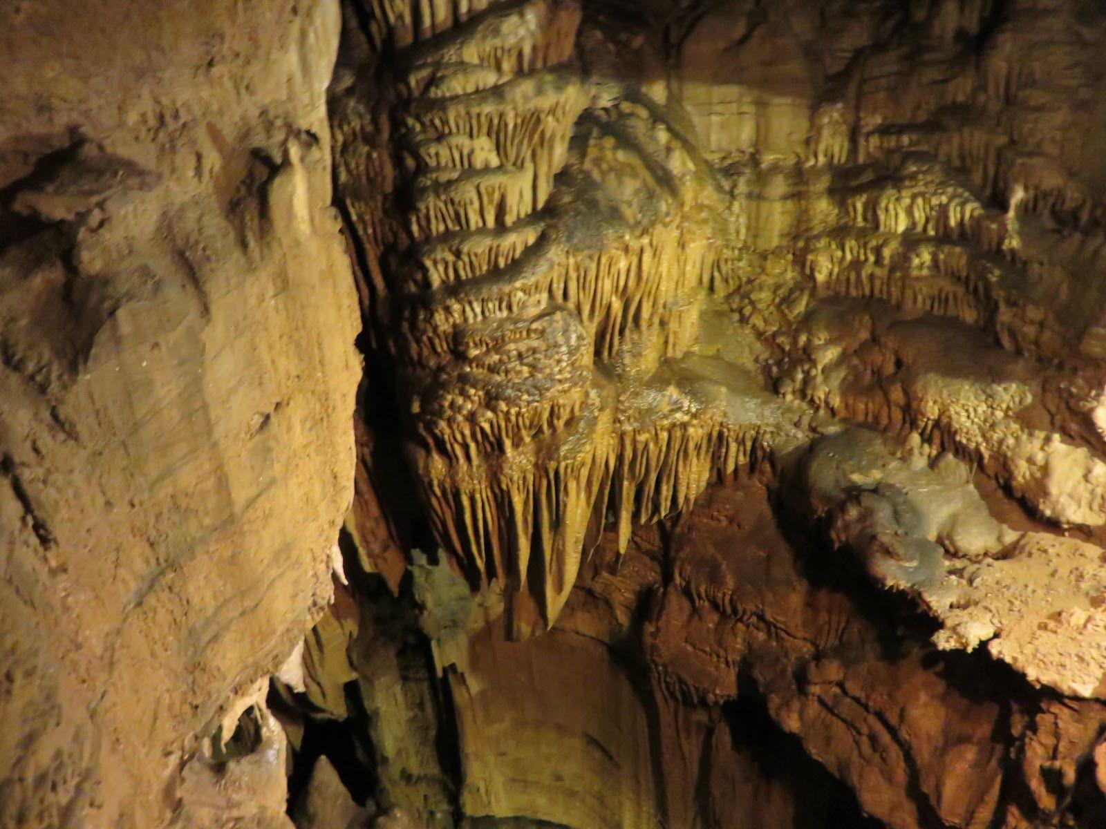 ShoreXplorers: Mammoth Cave is