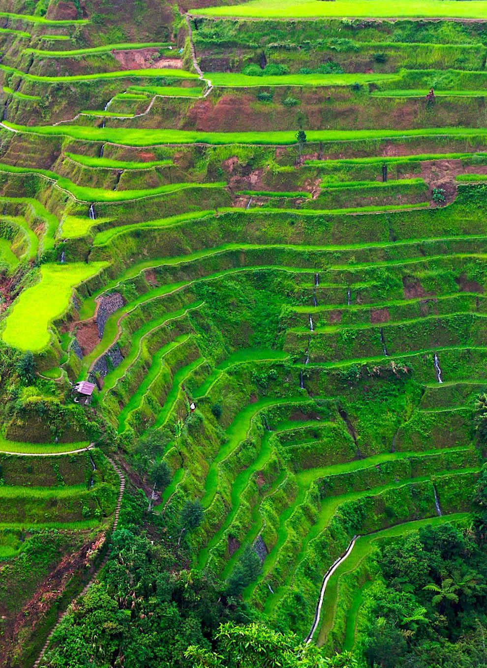 The rice terrace fields of Banaue country : the Philippines place