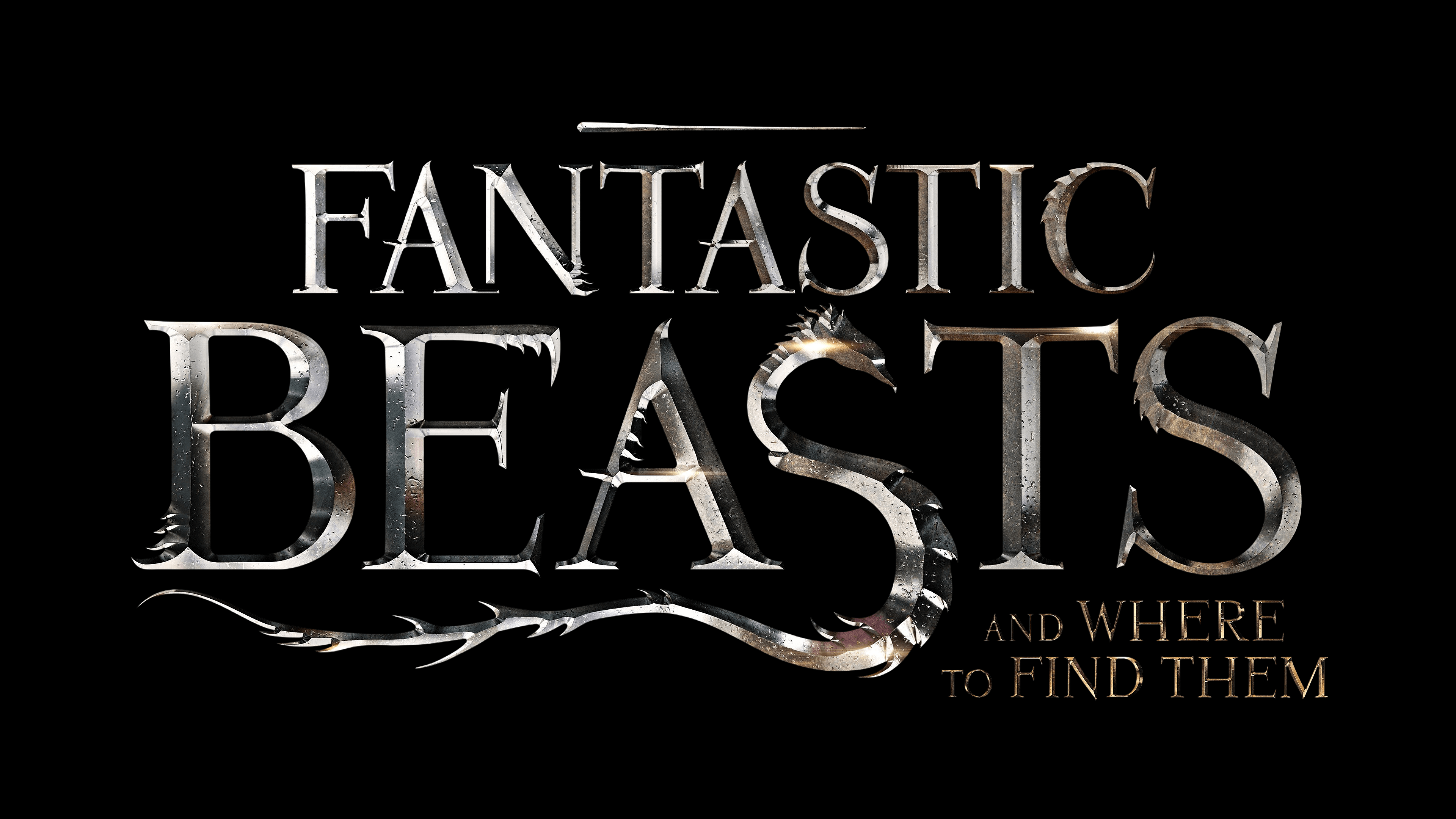 17 Fantastic Beasts and Where to Find Them HD Wallpapers